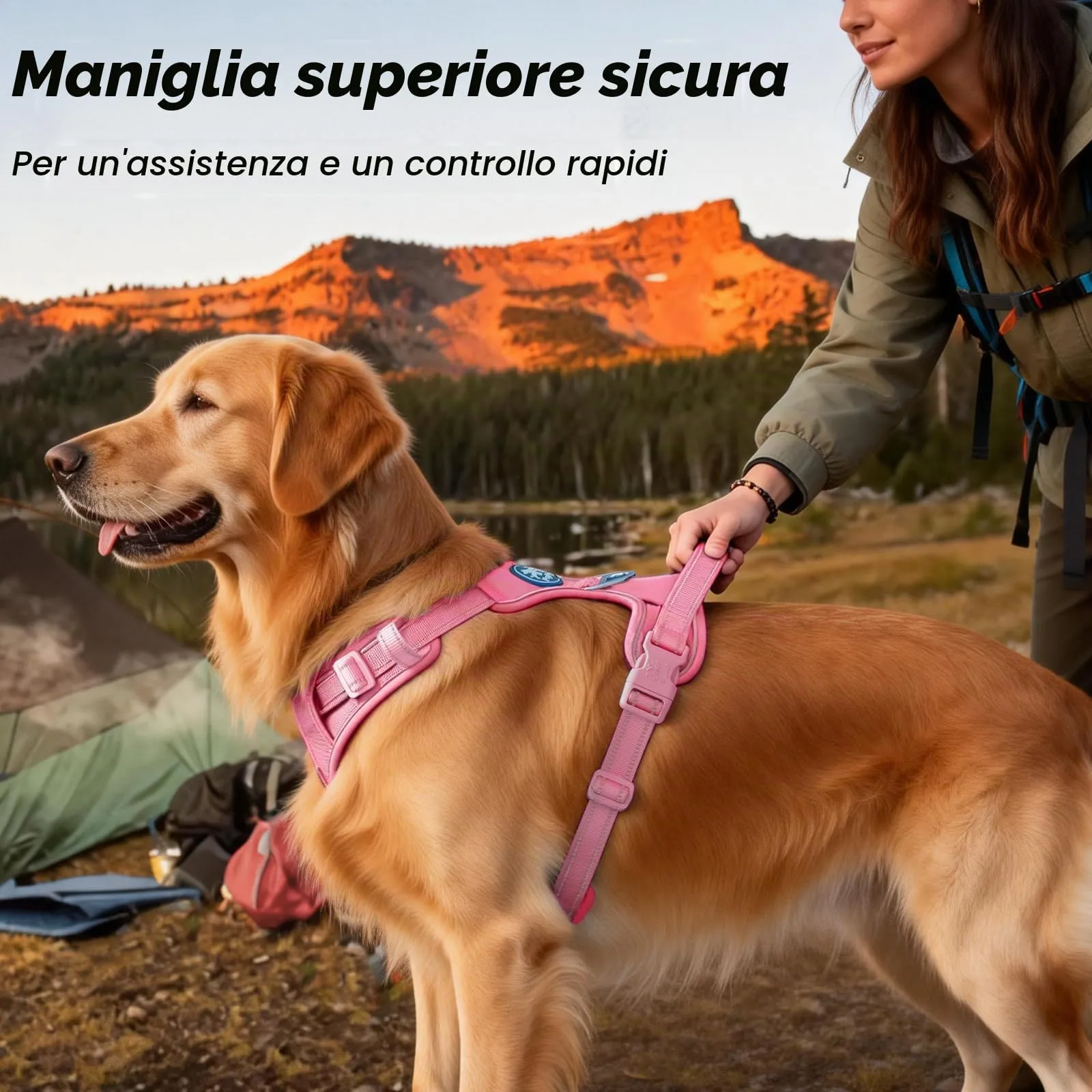 PoyPet Pettorina Riflettente Anti-trazione per Cani con Manico Easy Control, Rosa, M - immagine 4