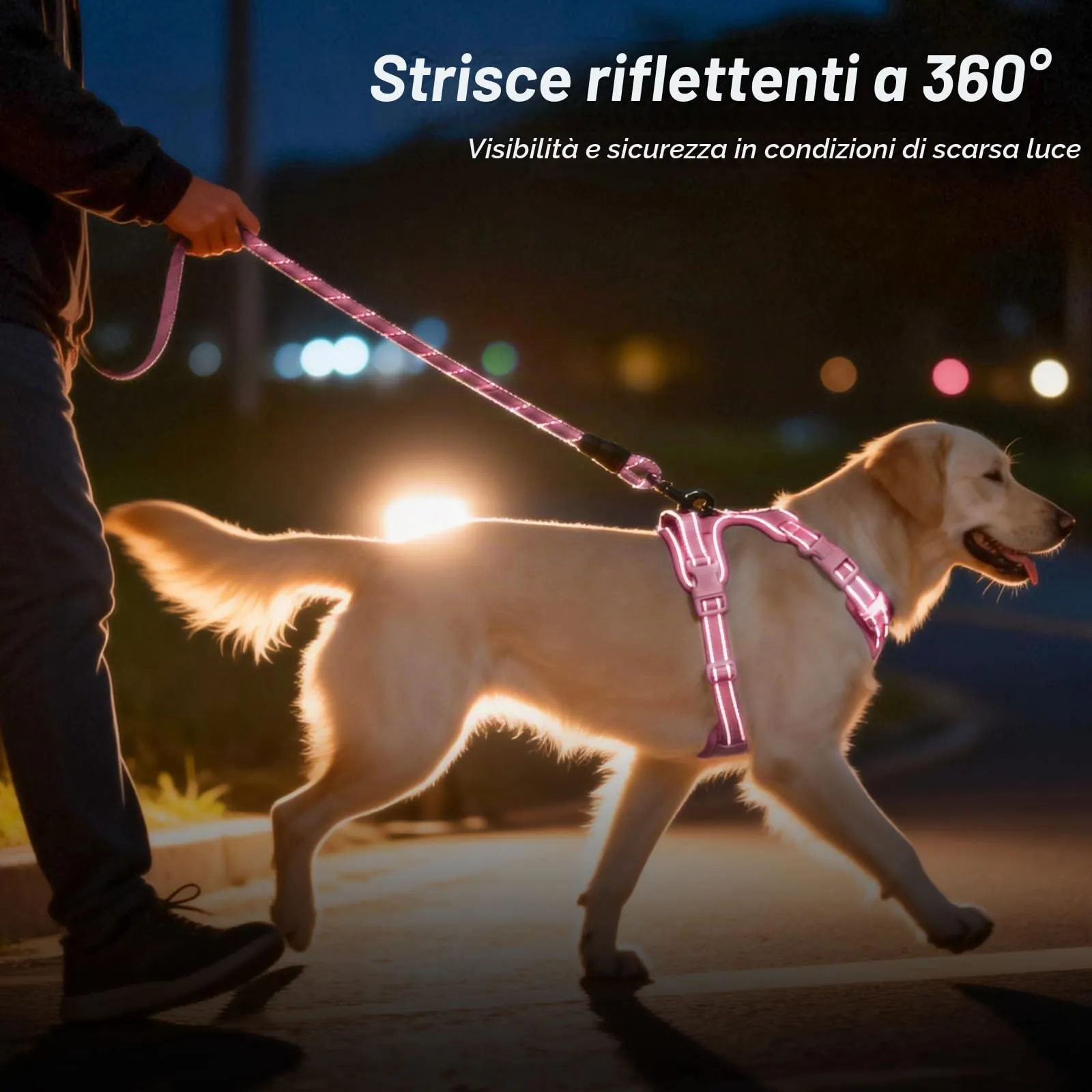 PoyPet Pettorina Riflettente Anti-trazione per Cani con Manico Easy Control, Rosa, M - immagine 7