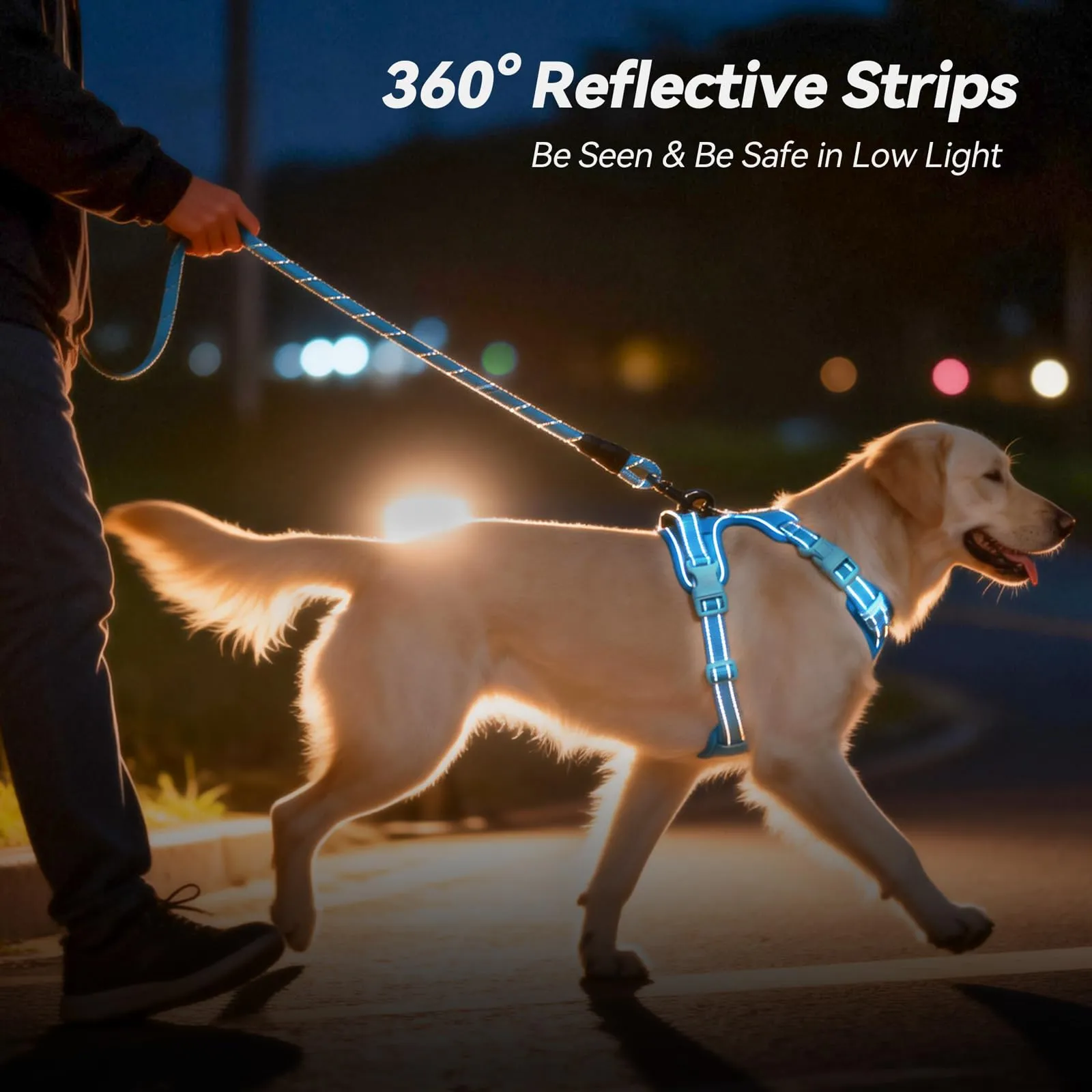 PoyPet Pettorina per cani anti-tiro riflettente, regolabile e imbottita con maniglia, blu cielo, XL - immagine 7
