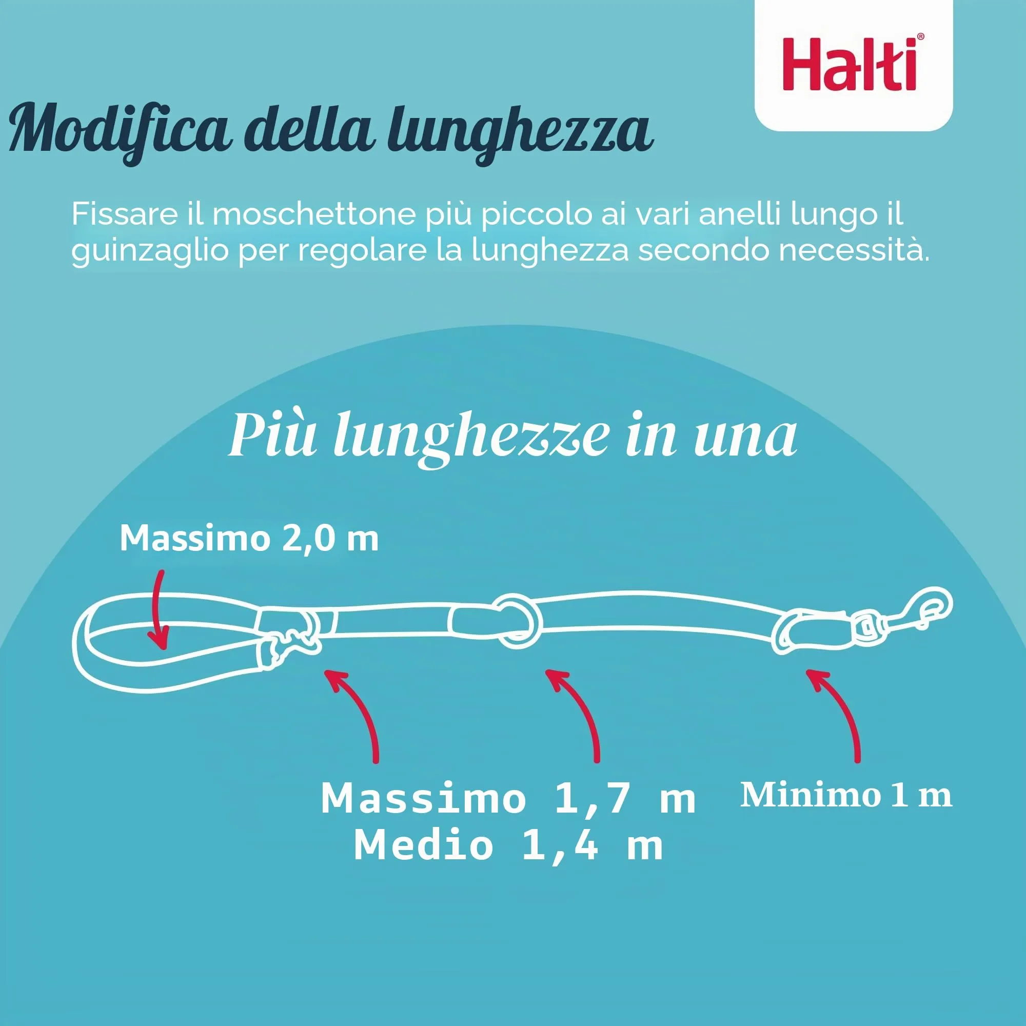 Halti Guinzaglio da addestramento per cani, Taglia L, Viola - immagine 2