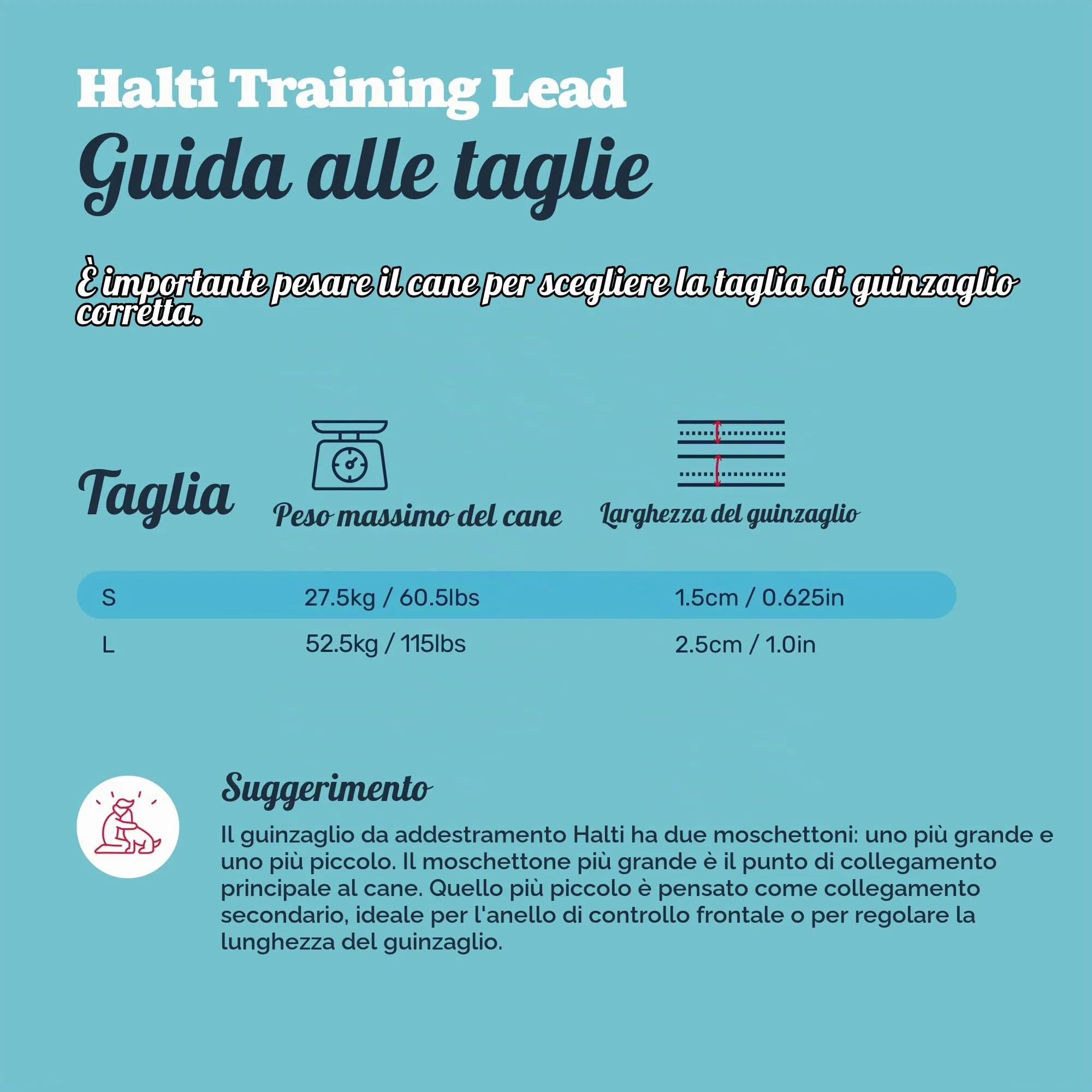 Halti Guinzaglio da addestramento per cani, Taglia L, Viola - immagine 5
