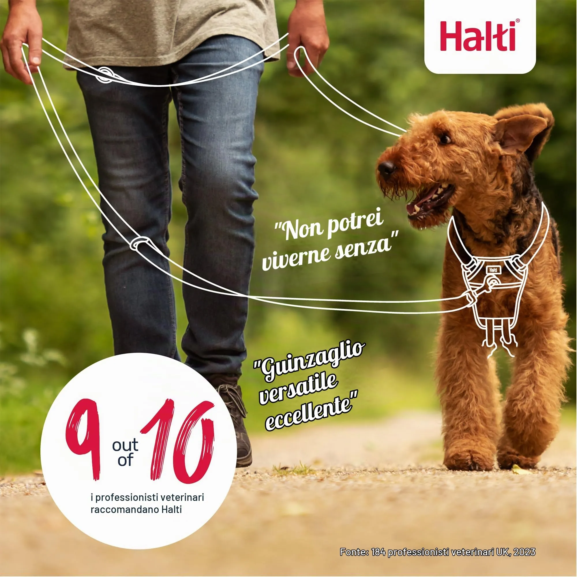 Halti Guinzaglio da addestramento per cani, Taglia L, Viola - immagine 6