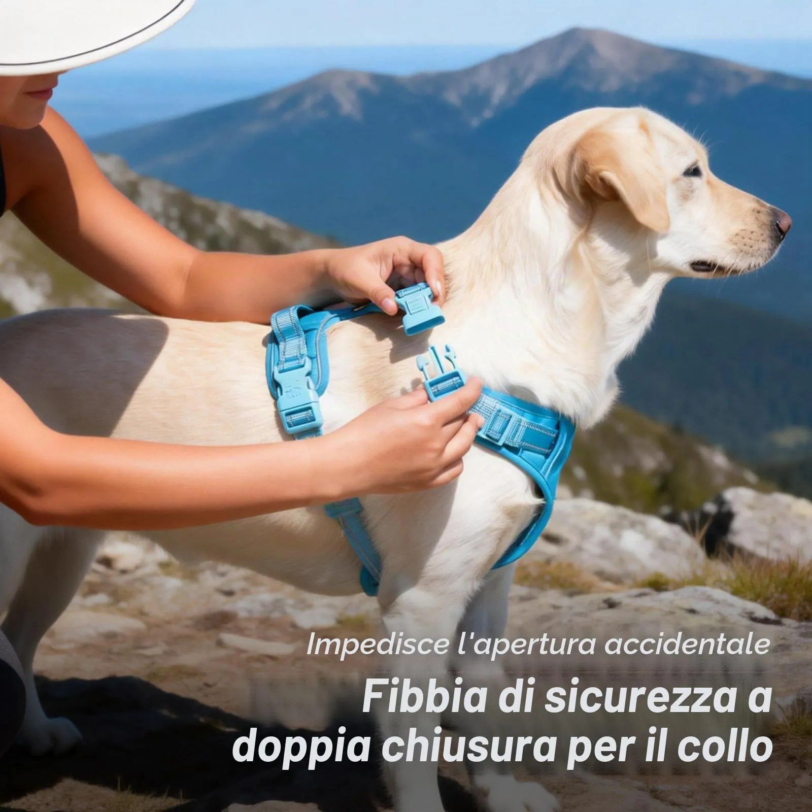 PoyPet Pettorina per cani anti-tiro riflettente regolabile e imbottita con maniglia, blu cielo, M - immagine 3