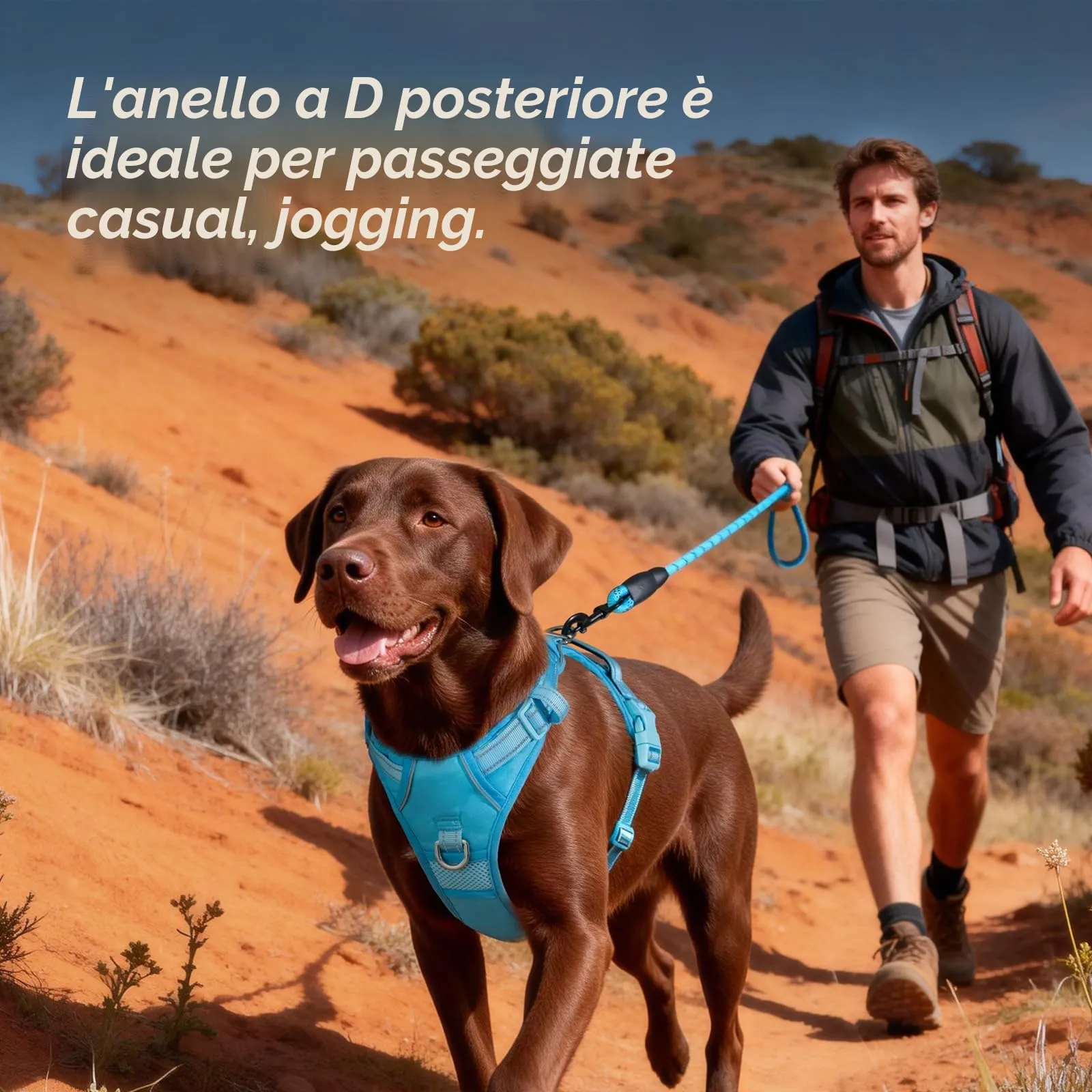 PoyPet Pettorina per cani anti-tiro riflettente regolabile e imbottita con maniglia, blu cielo, M - immagine 5
