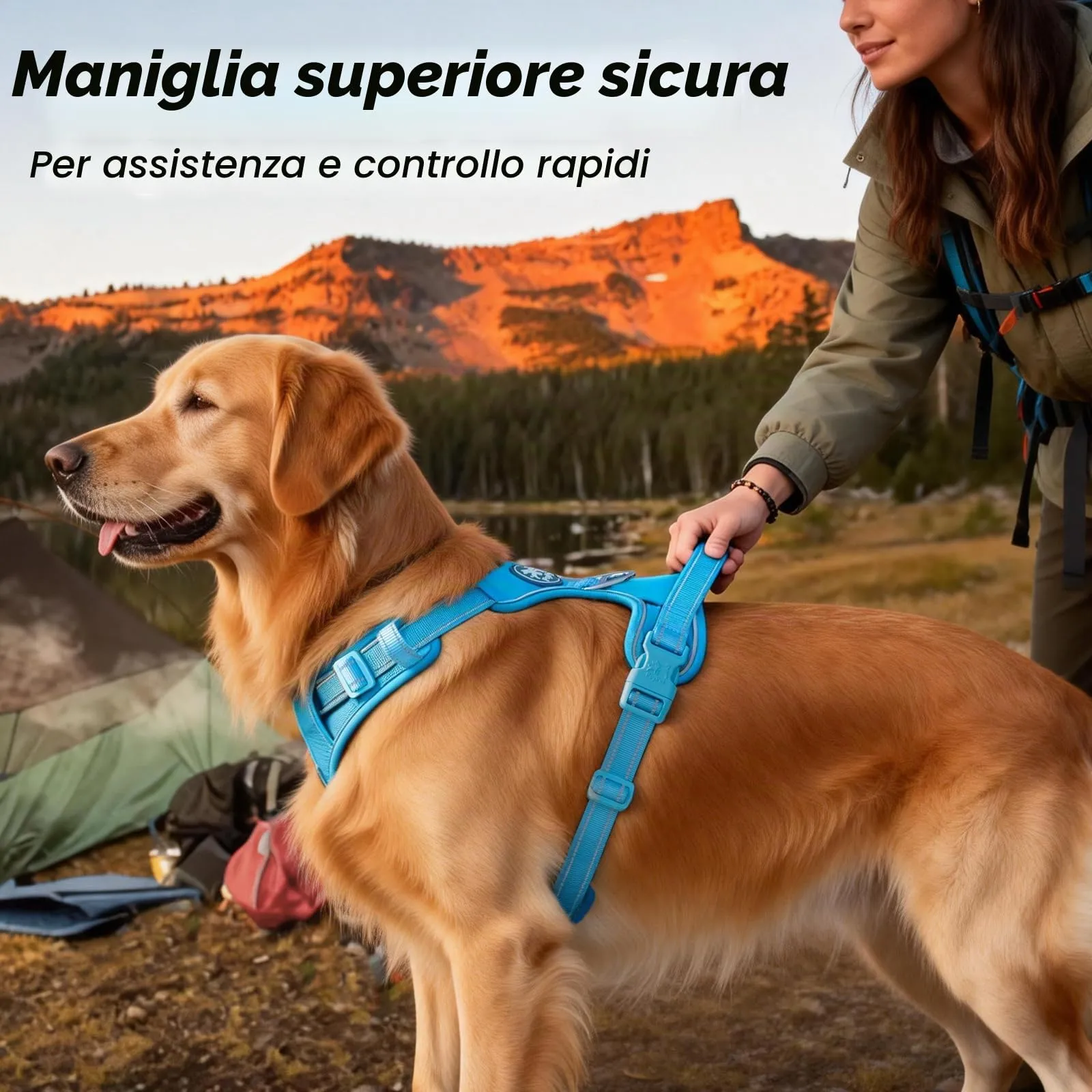 PoyPet Pettorina per cani anti-tiro riflettente regolabile e imbottita con maniglia, blu cielo, M - immagine 6