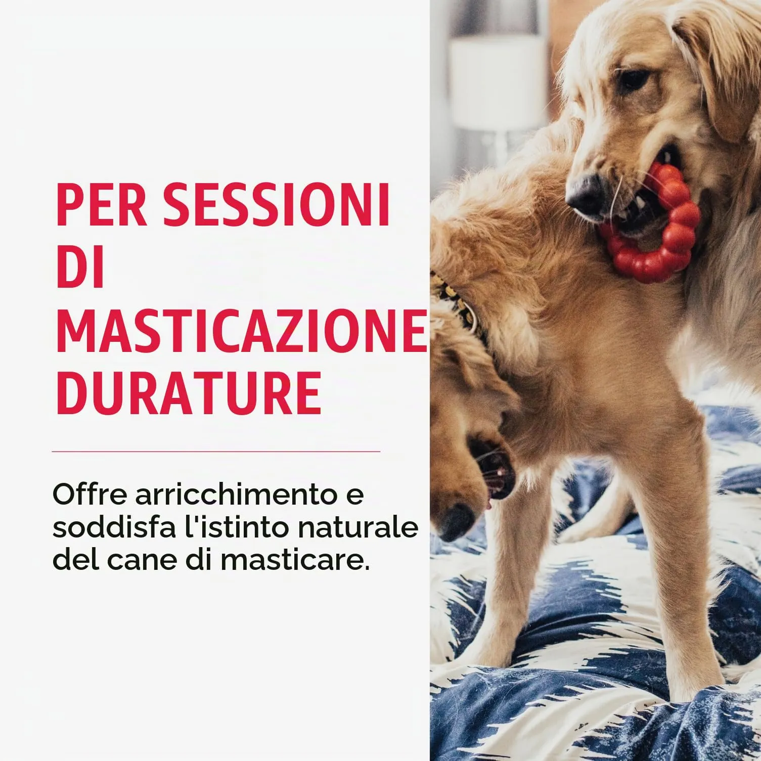 KONG Ring Anello da Masticare in Gomma Naturale, Taglia S/M - immagine 2