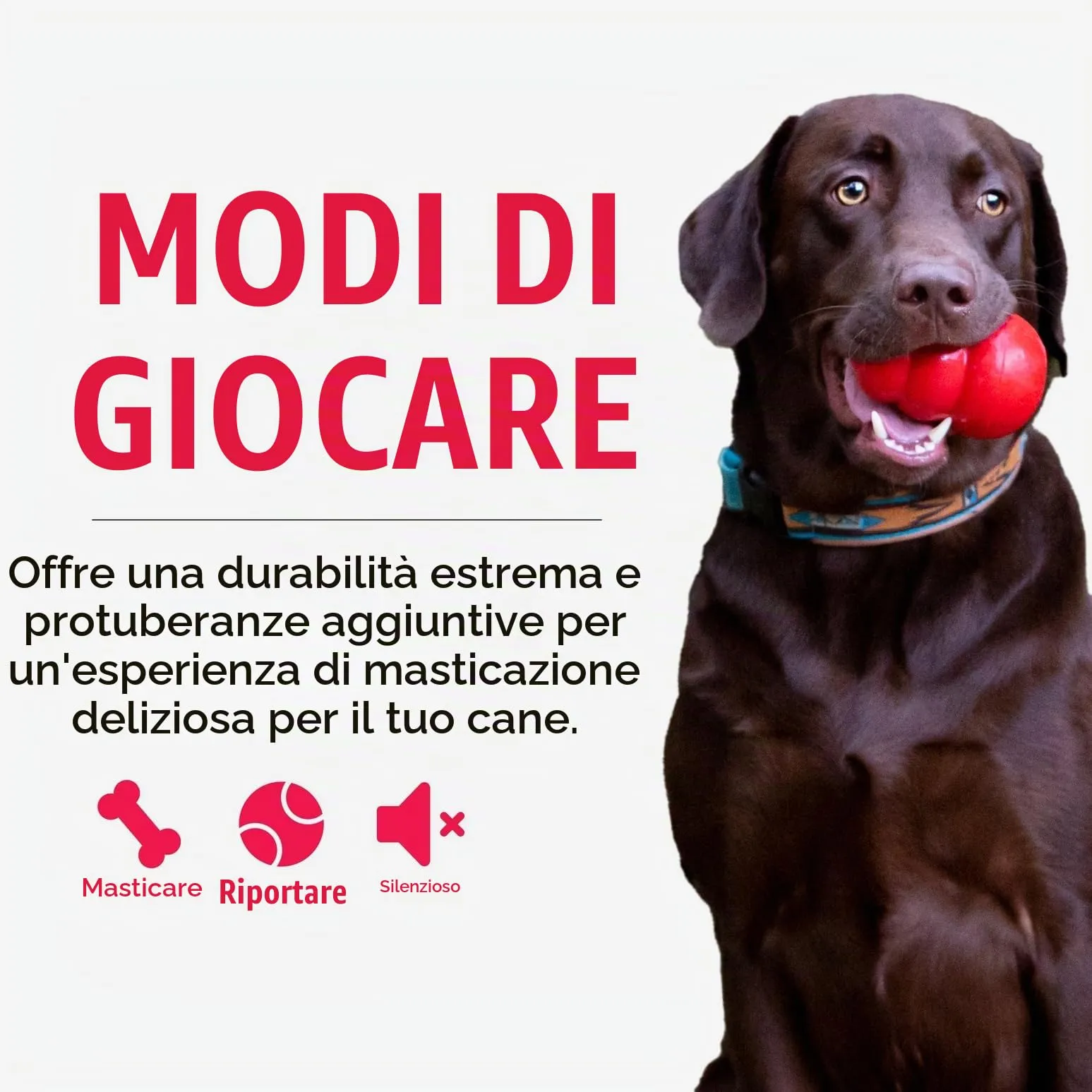 KONG Ring Anello da Masticare in Gomma Naturale, Taglia S/M - immagine 4