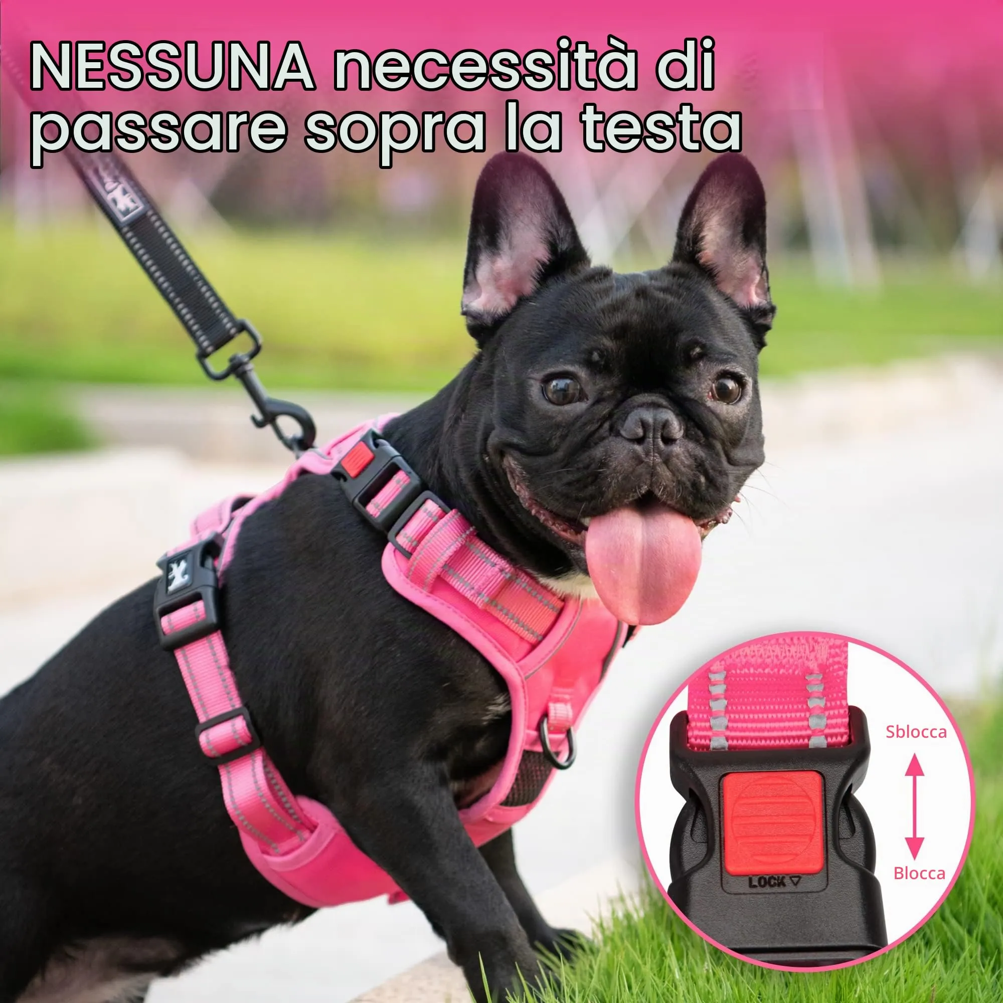 PoyPet Pettorina per cani anti-trazione riflettente, imbottita e regolabile con maniglia di controllo, Taglia S - immagine 3