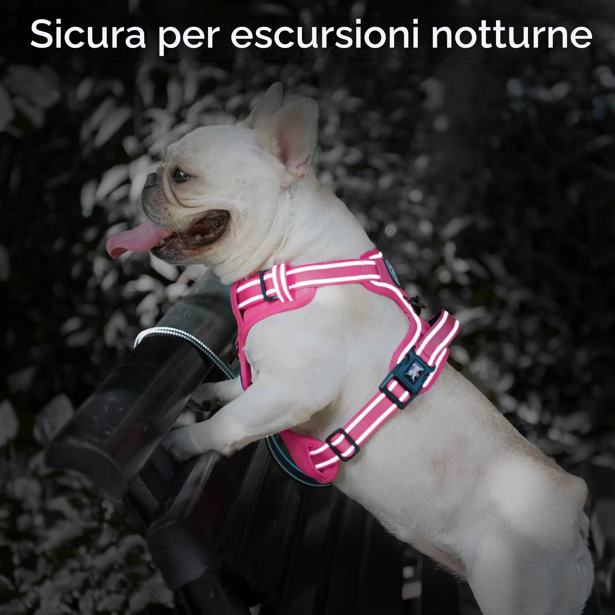 PoyPet Pettorina per cani anti-trazione riflettente, imbottita e regolabile con maniglia di controllo, Taglia S - immagine 7
