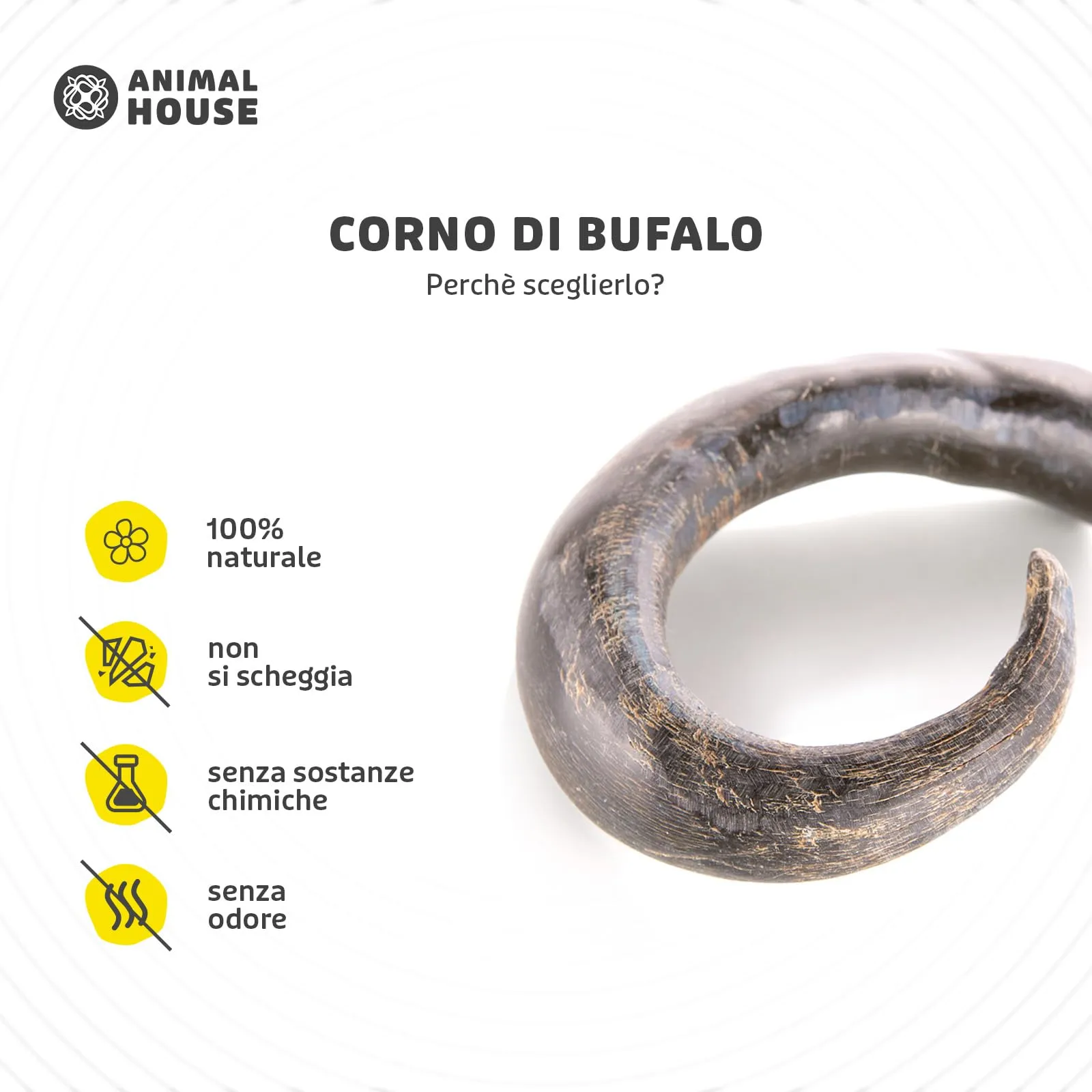 Animal House Corna di Bufalo per Cani, Taglia L, 300 g - immagine 2