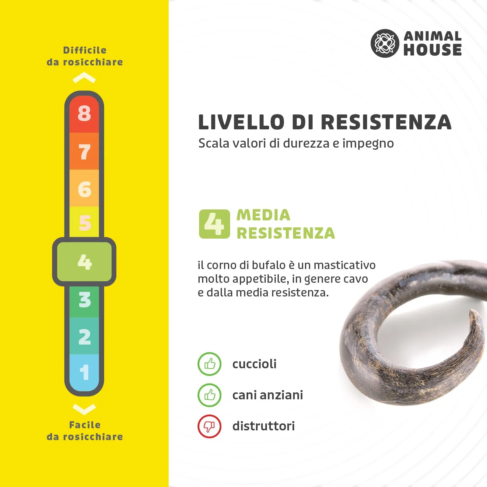 Animal House Corna di Bufalo per Cani, Taglia L, 300 g - immagine 5