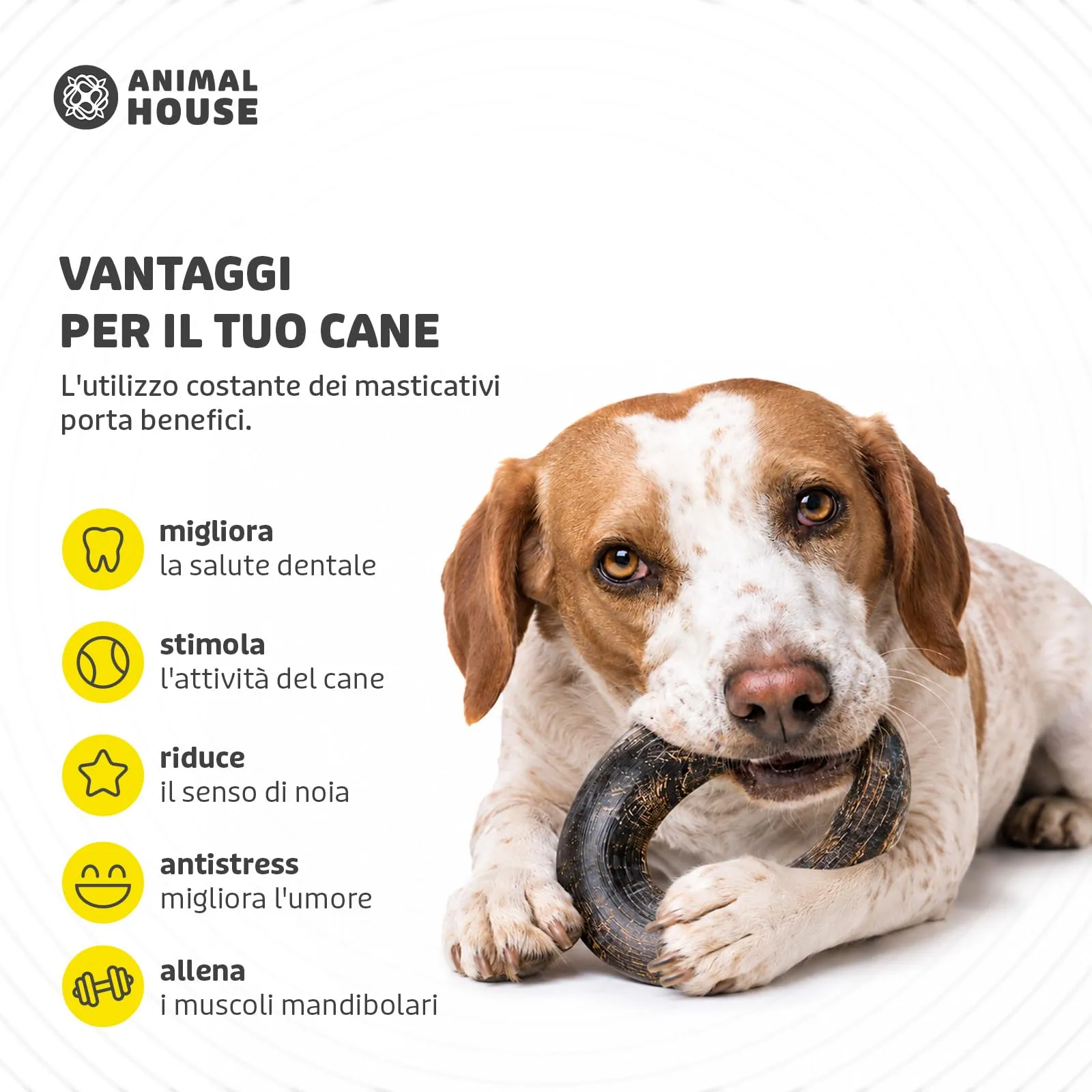Animal House Corna di Bufalo per Cani, Taglia L, 300 g - immagine 6