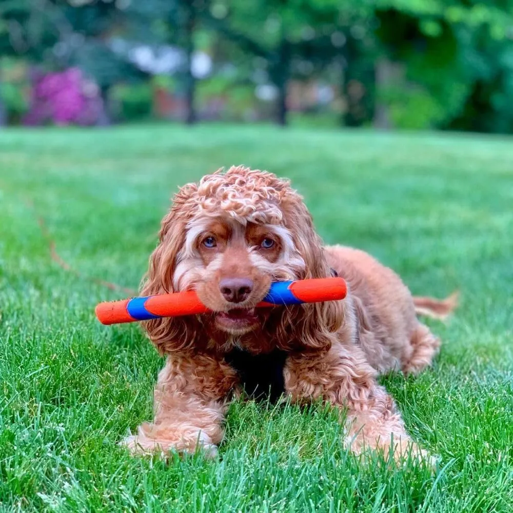Chuckit! Ultra Fetch Stick, 28 cm - immagine 2