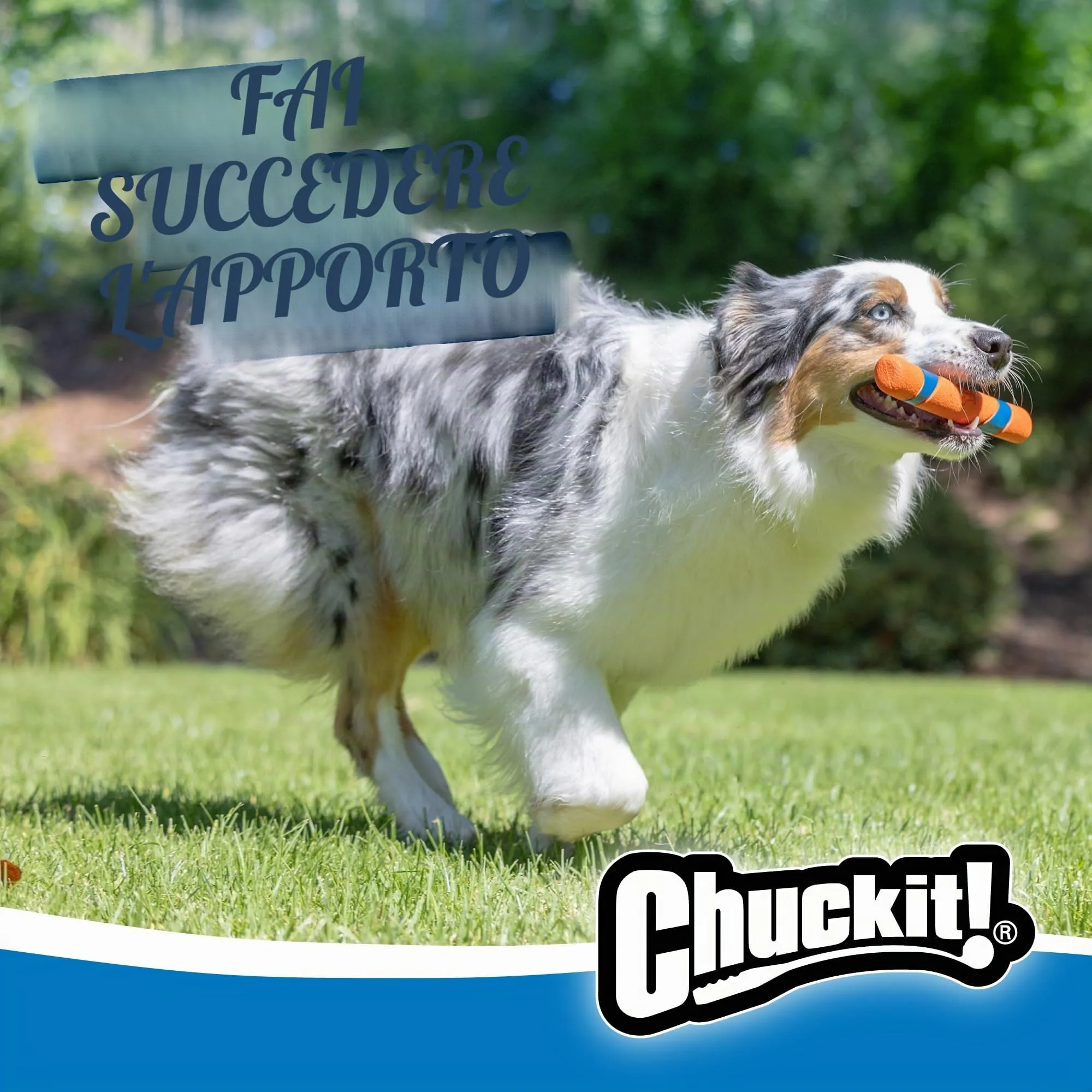 Chuckit! Ultra Fetch Stick, 28 cm - immagine 3