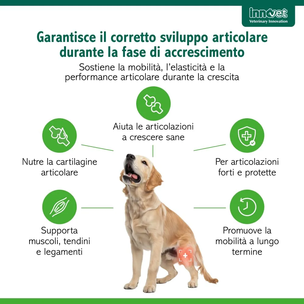 Innovet Condrogen Puppy Alimento Complementare per Articolazioni Cuccioli Taglia Grande e Gigante, 90 Compresse - immagine 2