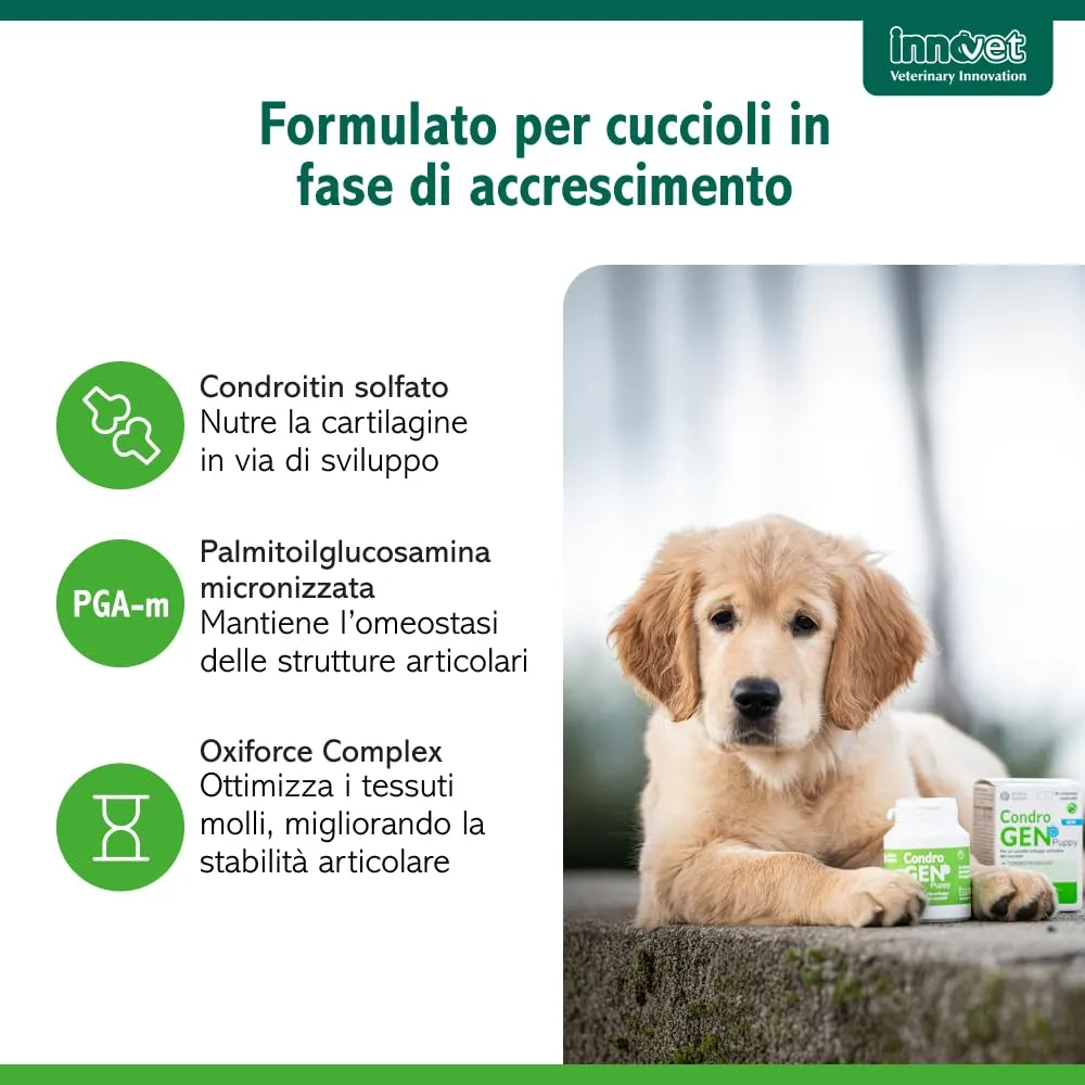 Innovet Condrogen Puppy Alimento complementare per le articolazioni di cuccioli taglia grande e gigante, 60 compresse - immagine 7