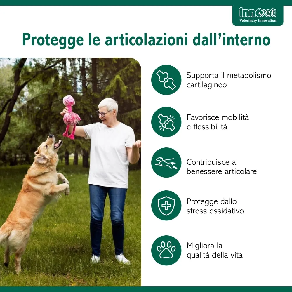 Innovet Condrostress Mobility per Cani Adulti e Anziani, 30 Soft Chews - immagine 3
