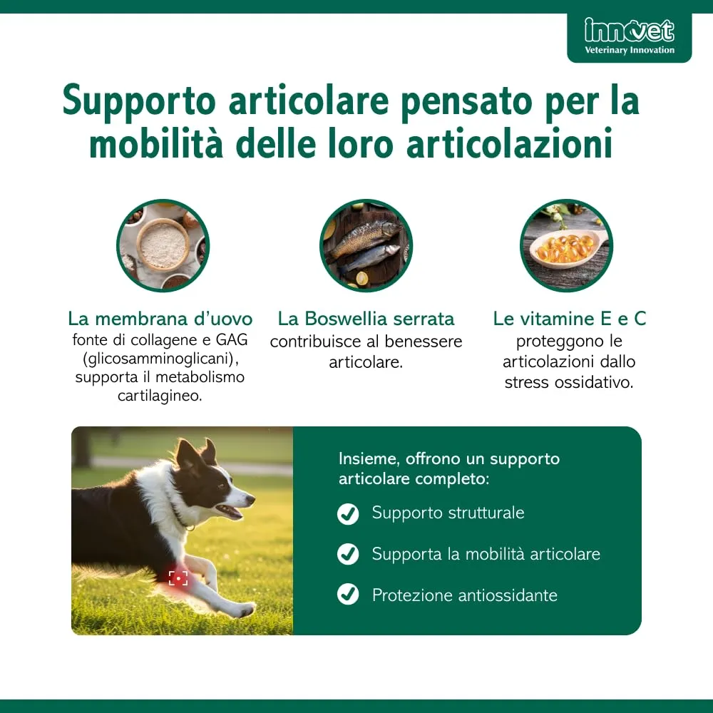 Innovet Condrostress Mobility per Cani Adulti e Anziani, 30 Soft Chews - immagine 6