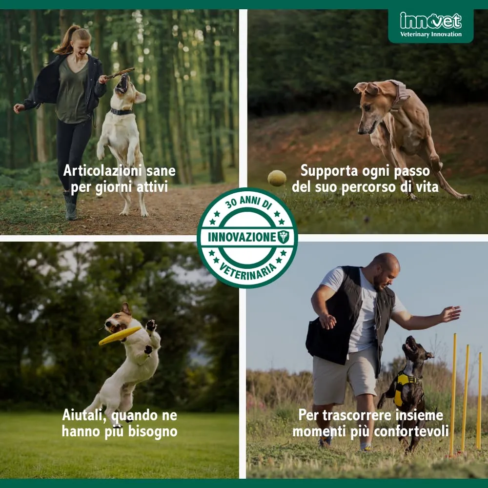 Innovet Condrostress Mobility per Cani Adulti e Anziani, 30 Soft Chews - immagine 8
