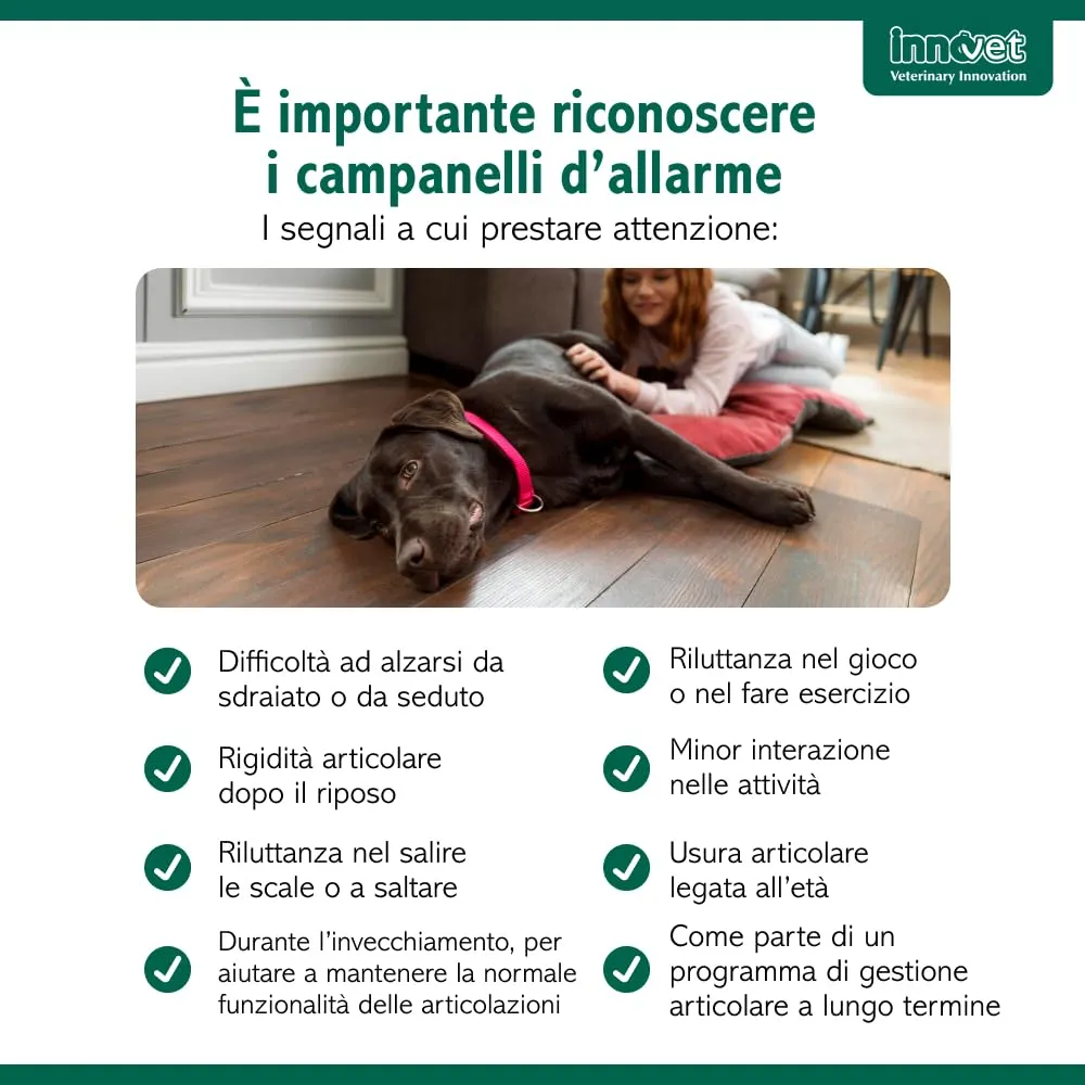 Innovet Condrostress Mobility per Cani Adulti e Anziani, 60 Soft Chews - immagine 5