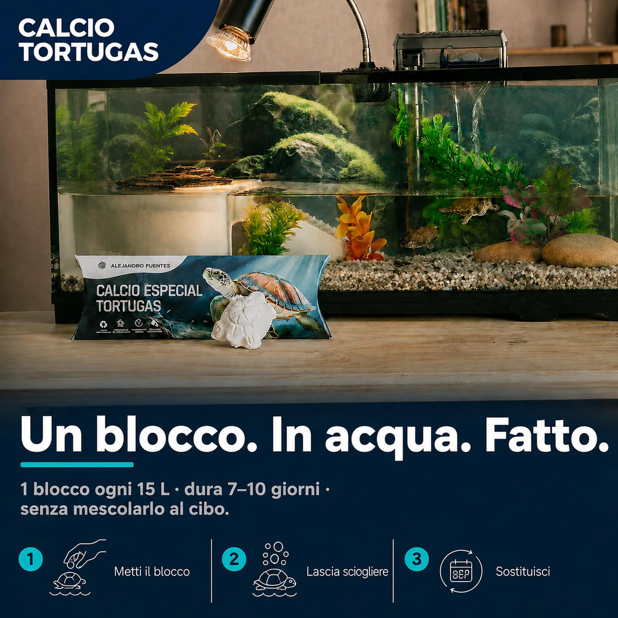 Alejandro Fuentes AF Calcio per Tartarughe di Terra e Acqua, Blocco Minerale a Rilascio Lento, Confezione da 4 Pezzi - immagine 4