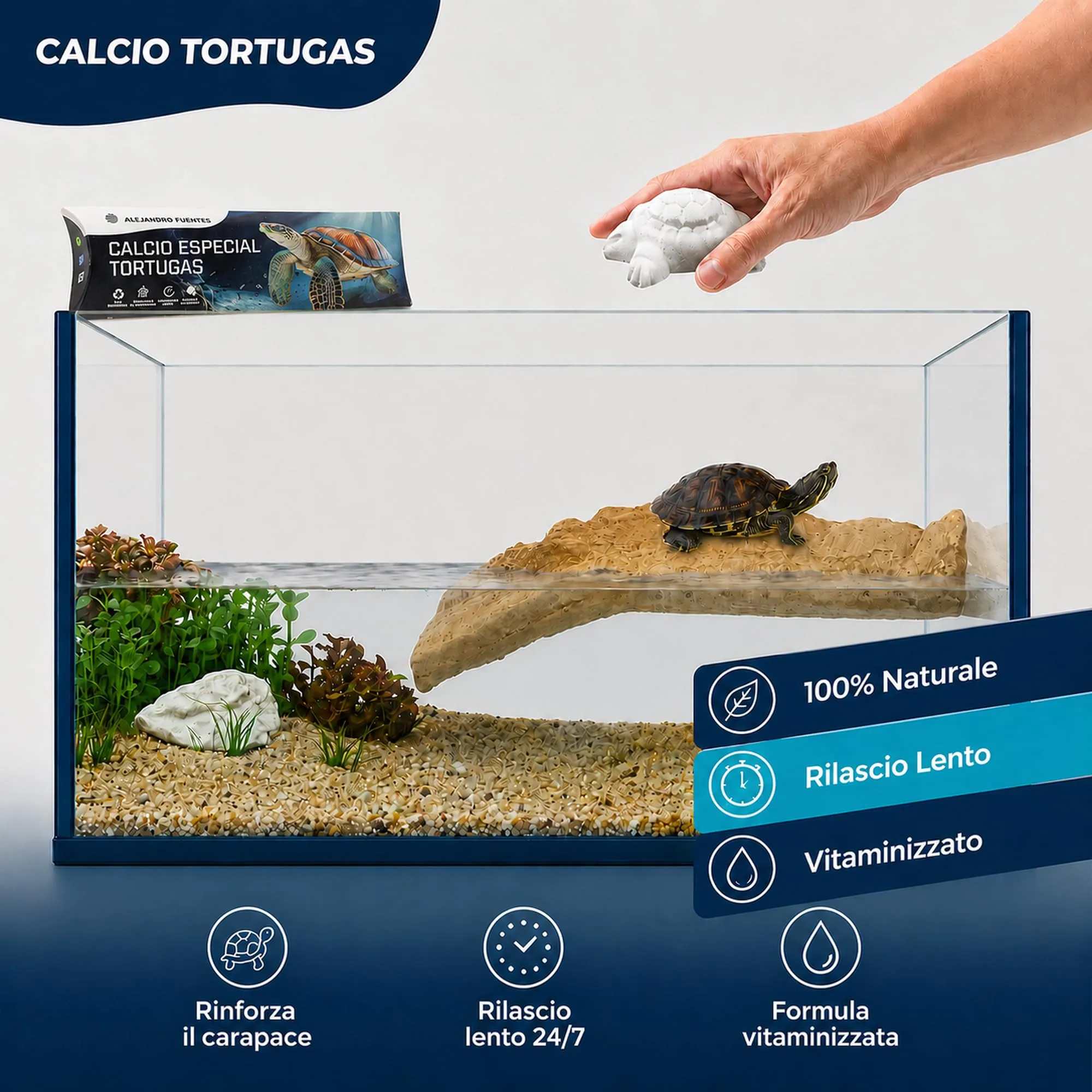 Alejandro Fuentes AF Calcio per Tartarughe di Terra e Acqua, Blocco Minerale a Rilascio Lento, Confezione da 4 Pezzi - immagine 5