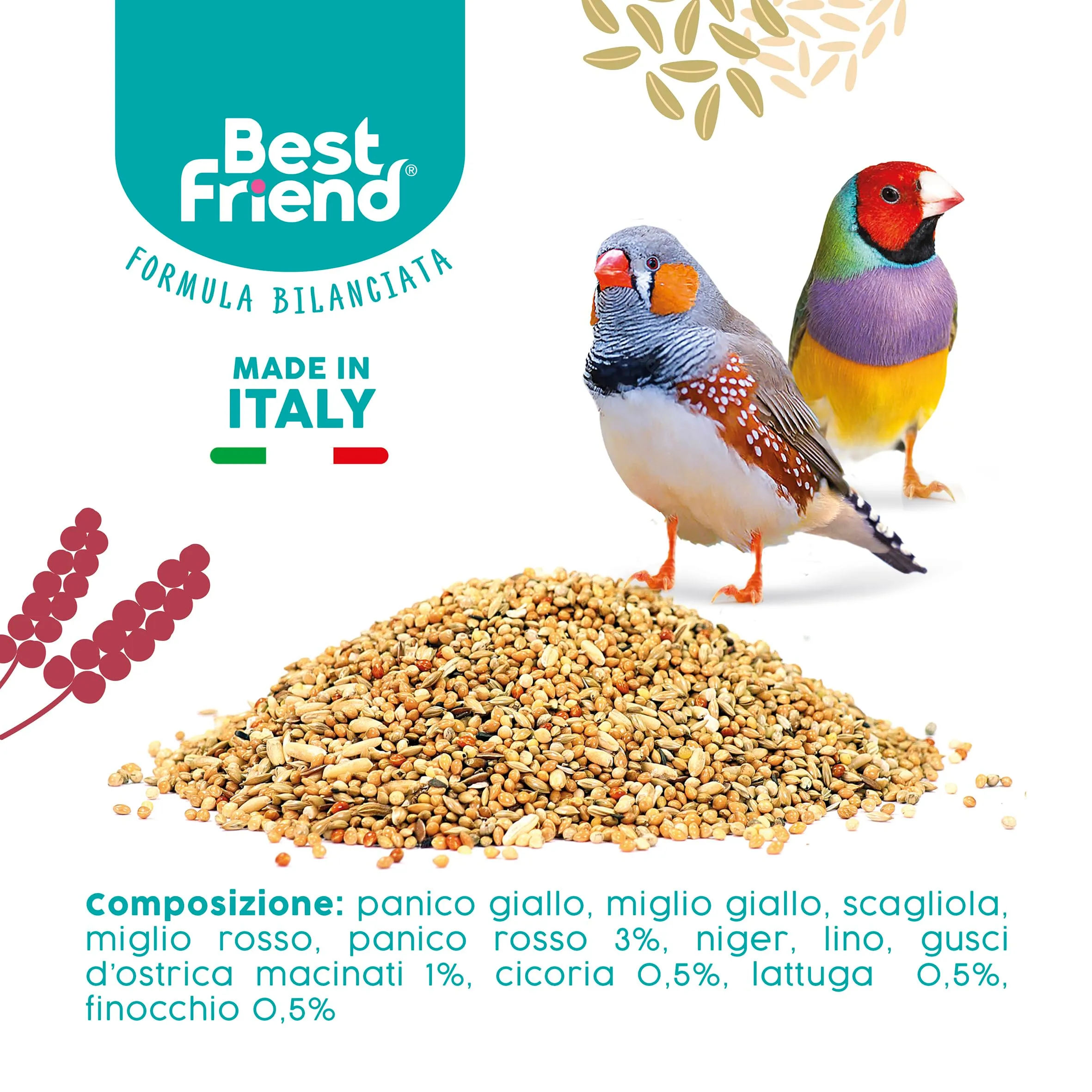 Best Friend Mangime Completo per Uccelli Esotici con Semi di Cicoria, Lattuga e Finocchio, 4 kg (8 x 500 g) - immagine 6