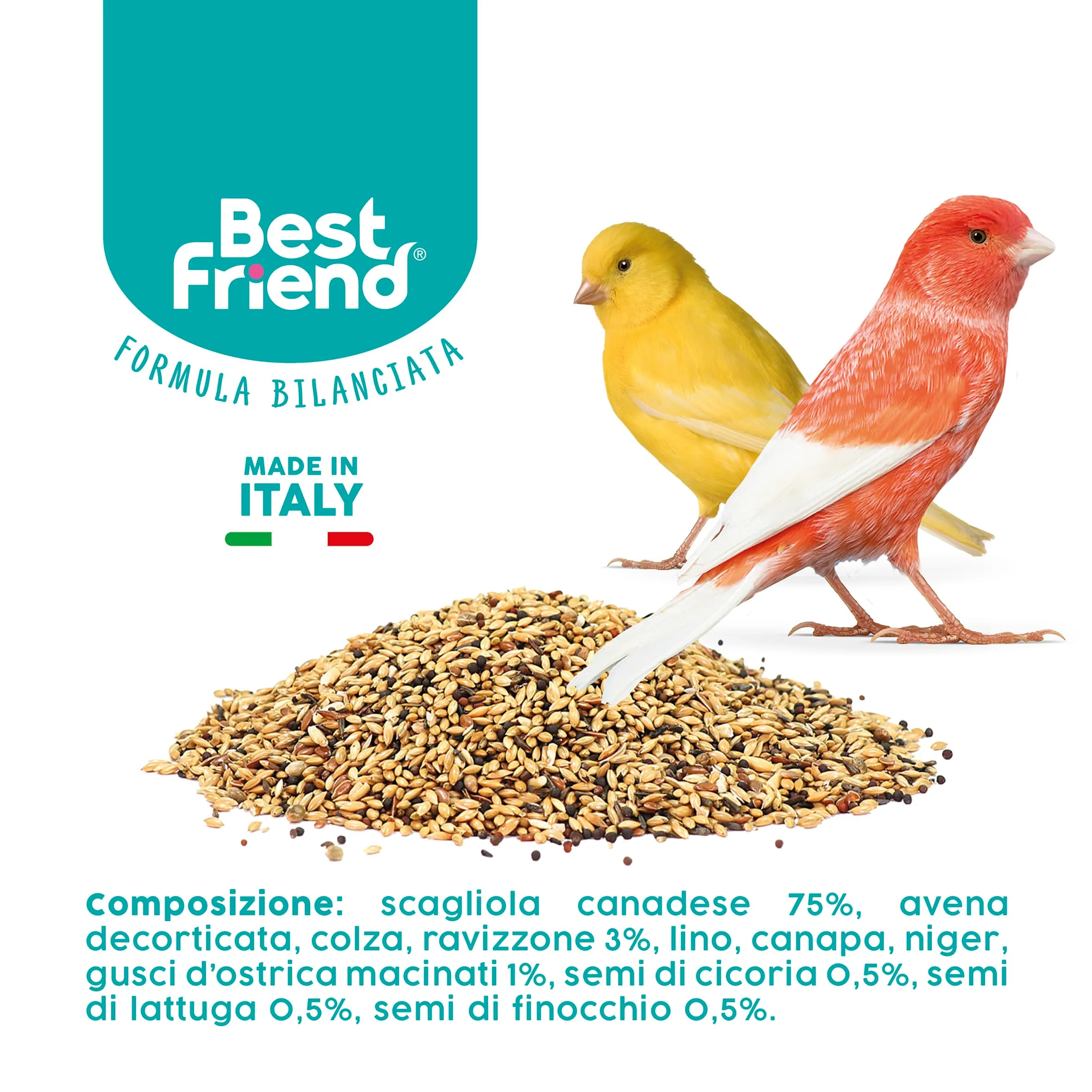 Best Friend Mangime Completo per Canarini con Ravizzone, Semi di Finocchio e Lattuga, 4 kg (8 x 500 g) - immagine 6