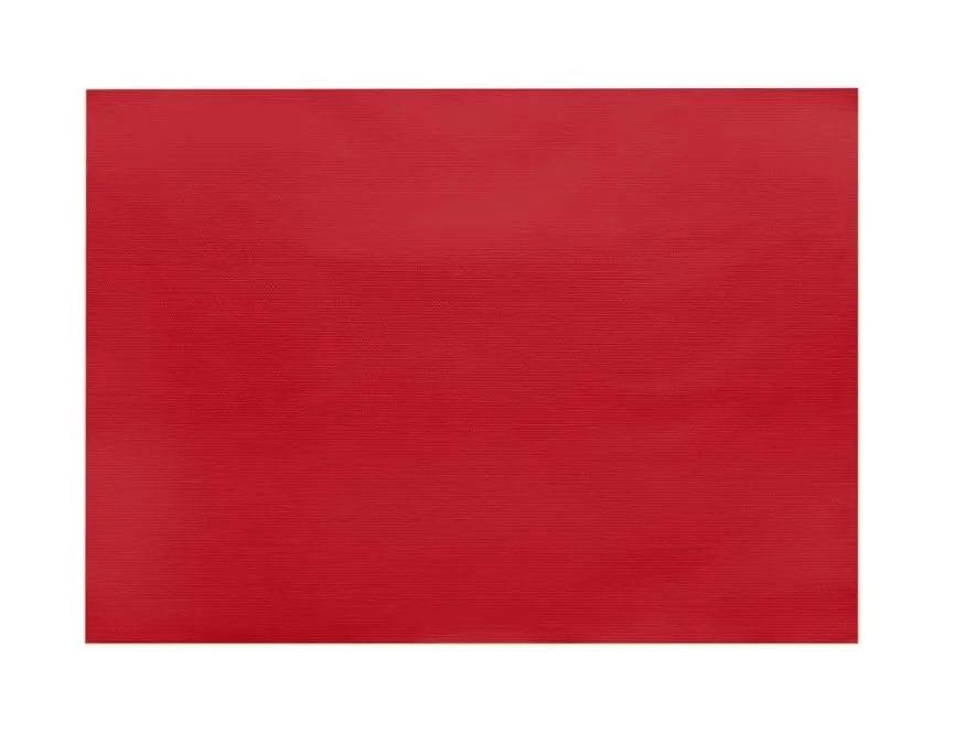 Terryshop74 Tovagliette in TNT 30x40 cm 60gr Rossa, 40 Pezzi (2 Rotoli da 20) - immagine 8