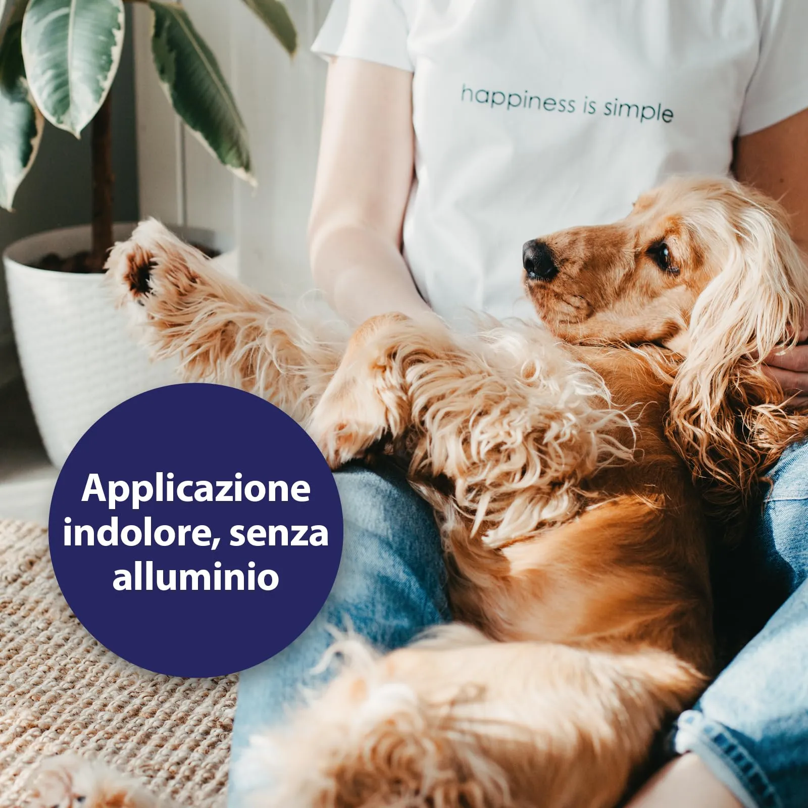 Canosept Micro Argento Spray per Cani 75ml - immagine 4