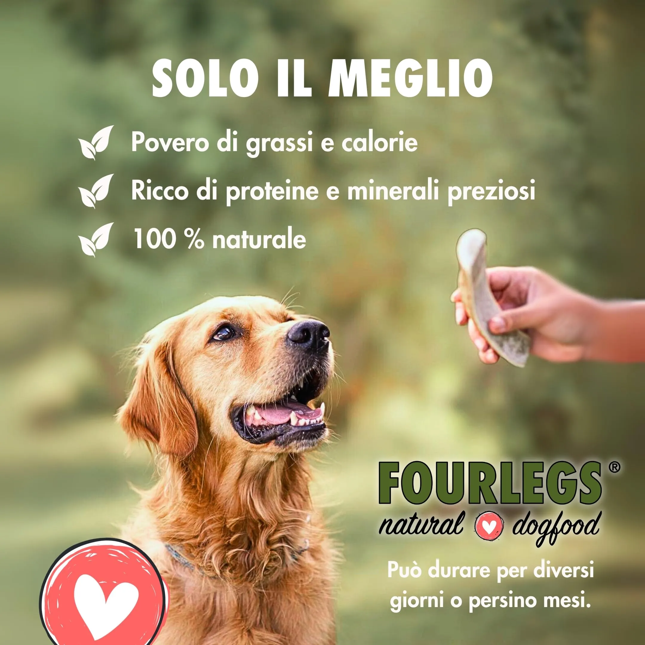FOURLEGS Snack per Cani Corno di Cervo Naturali, Taglia M Intero - immagine 3