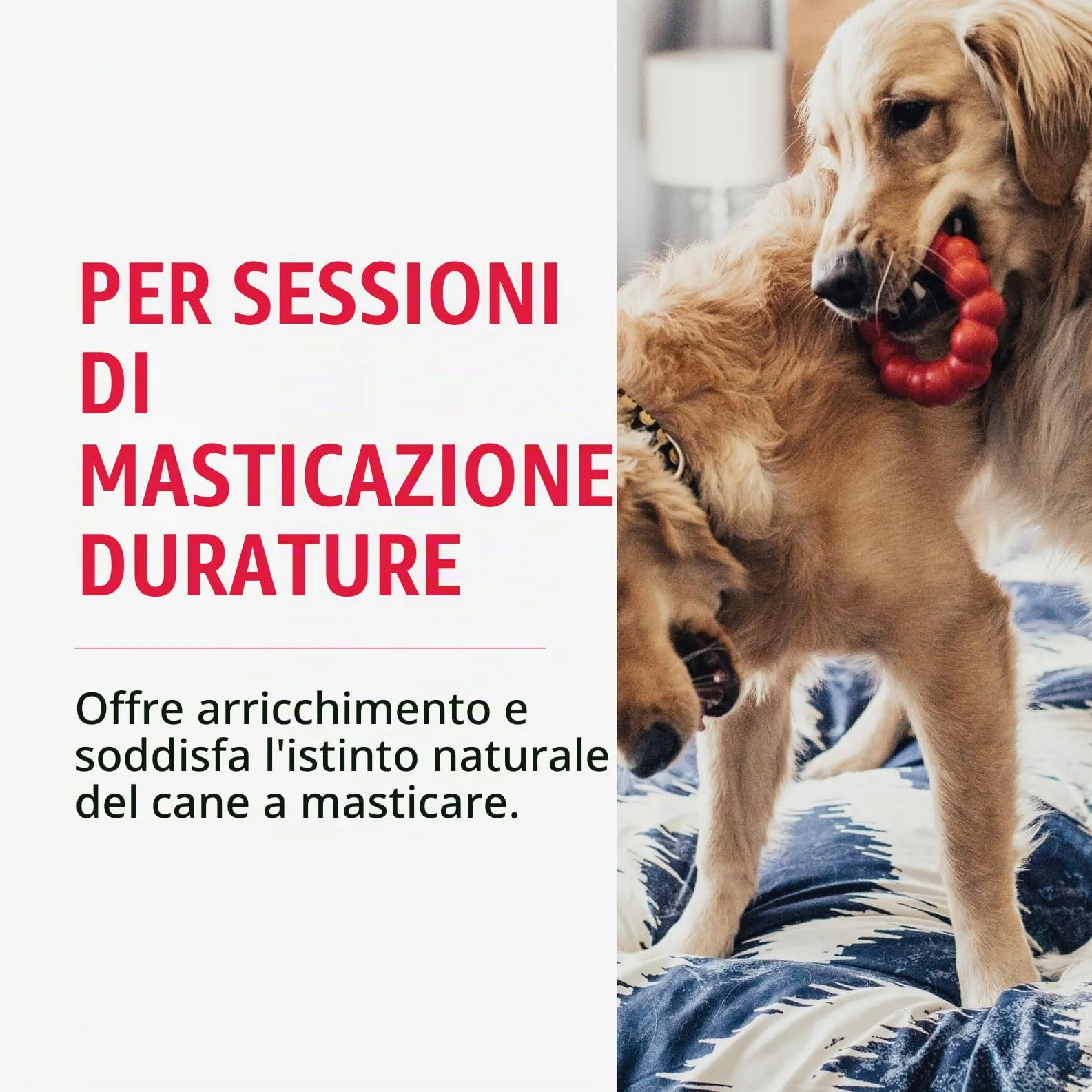 KONG Ring Anello da Masticare in Gomma Naturale, Taglia M/L - immagine 2