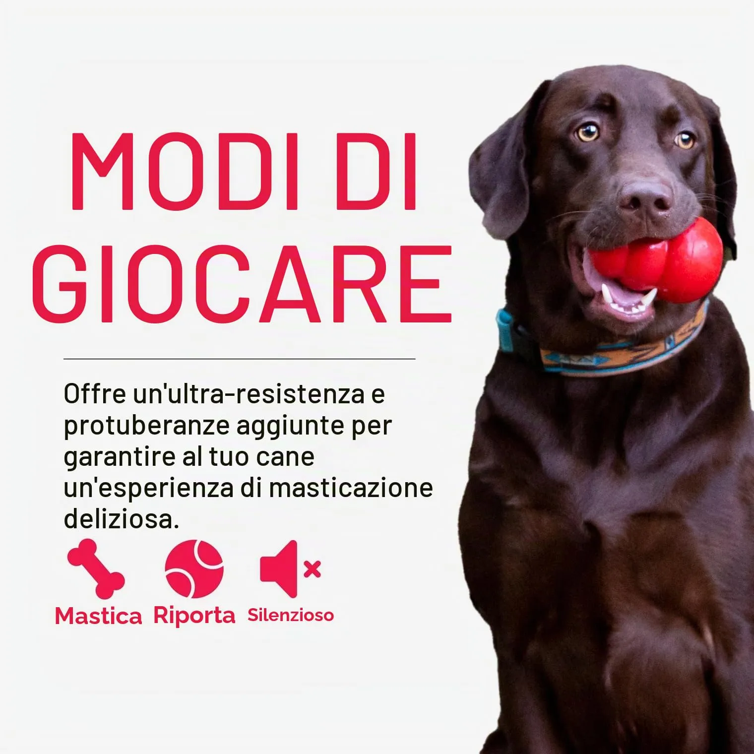 KONG Ring Anello da Masticare in Gomma Naturale, Taglia M/L - immagine 4