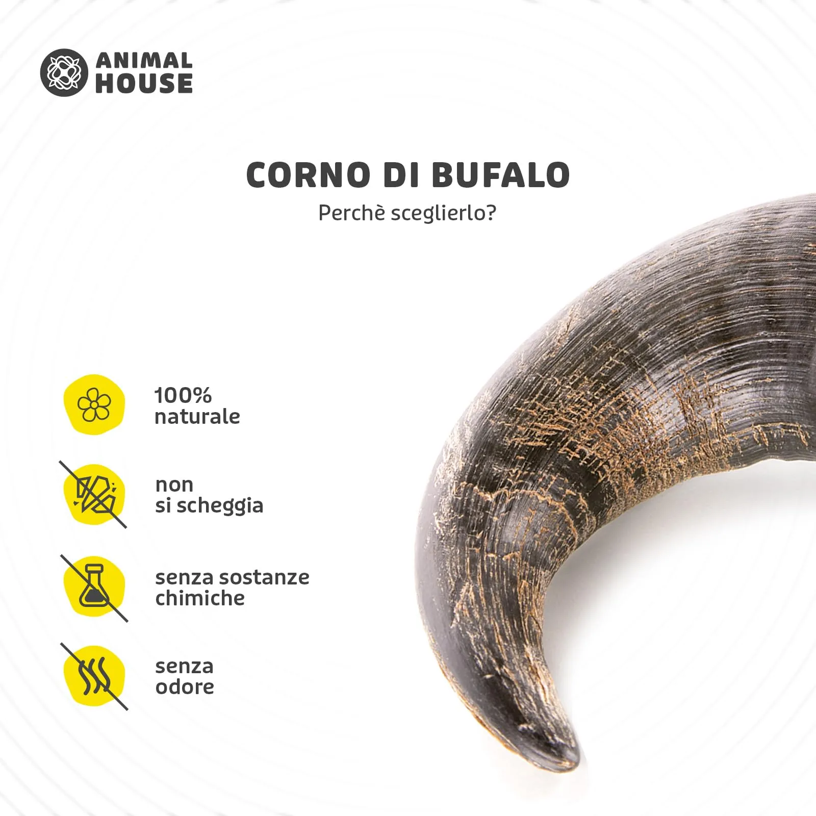 Animal House Corna di Bufalo per Cani, Masticativo Naturale, Taglia M - immagine 2