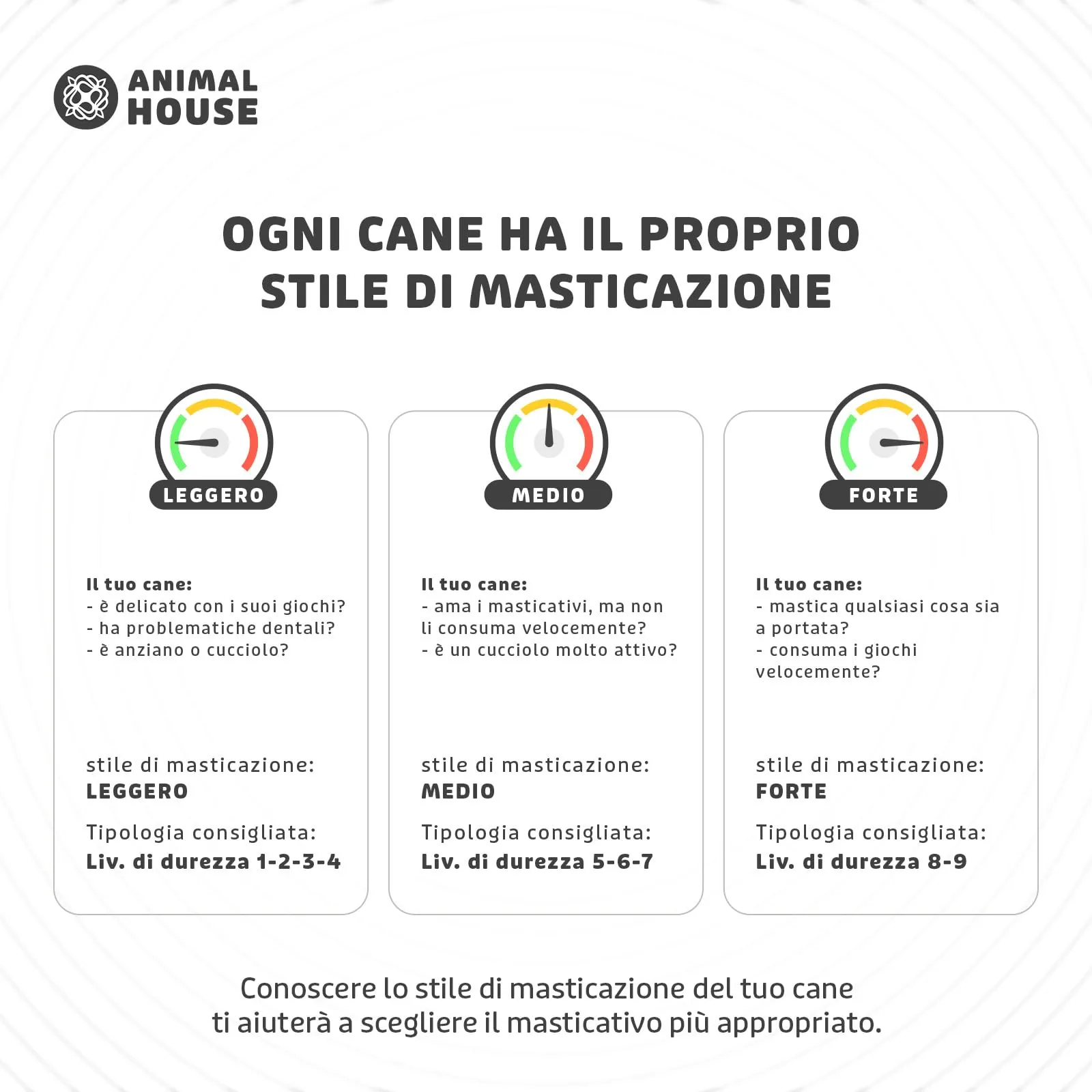 Animal House Corna di Bufalo per Cani, Masticativo Naturale, Taglia M - immagine 4