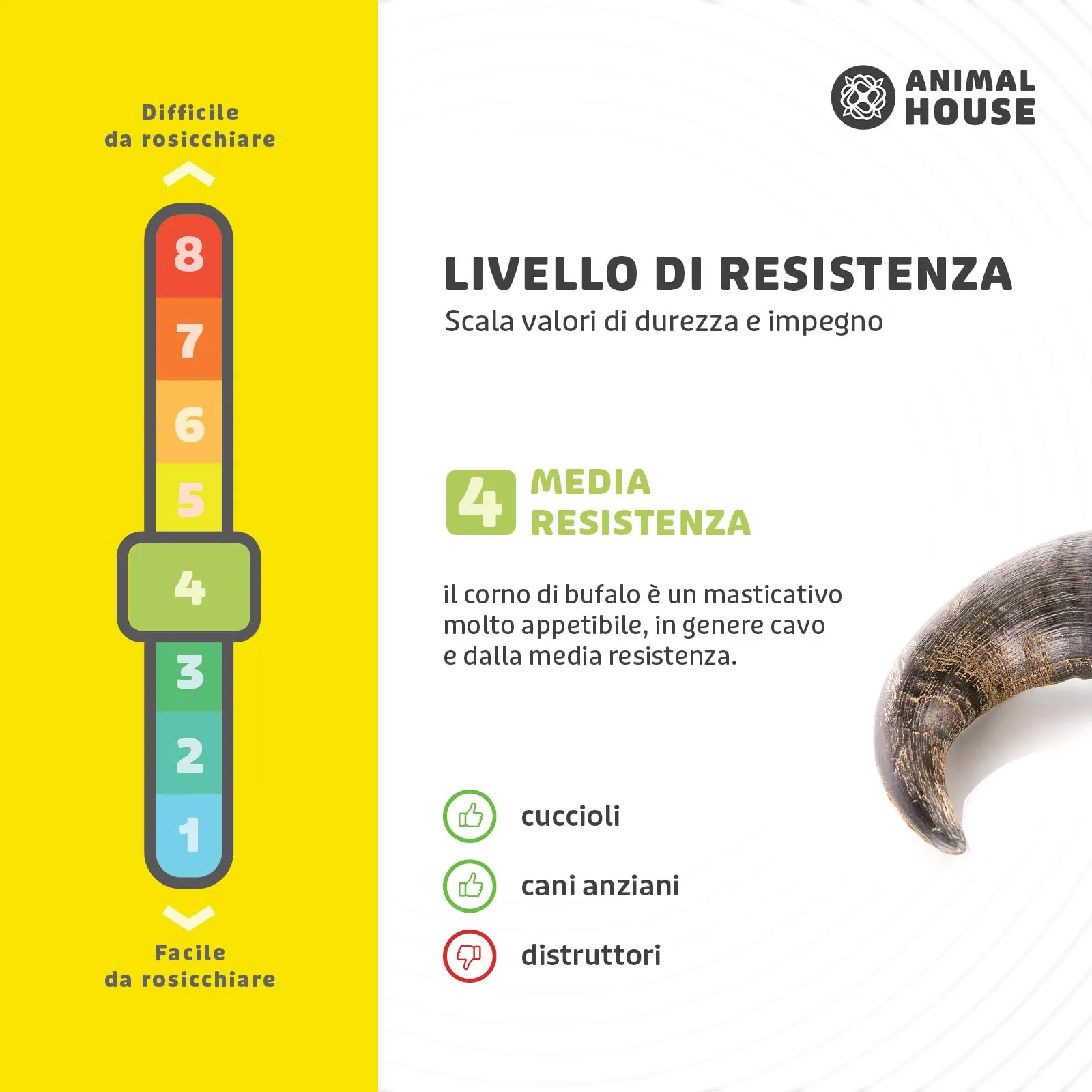 Animal House Corna di Bufalo per Cani, Masticativo Naturale, Taglia M - immagine 5