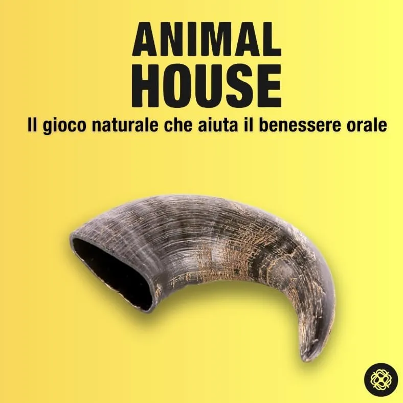 Animal House Corna di Bufalo per Cani, Masticativo Naturale, Taglia M - immagine 7
