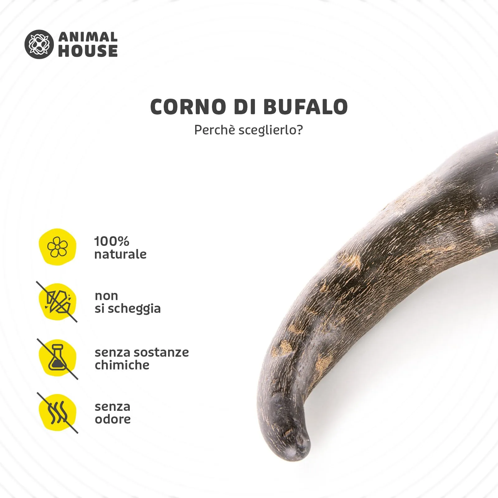 Animal House Corna di Bufalo per Cani, Taglia S - immagine 2