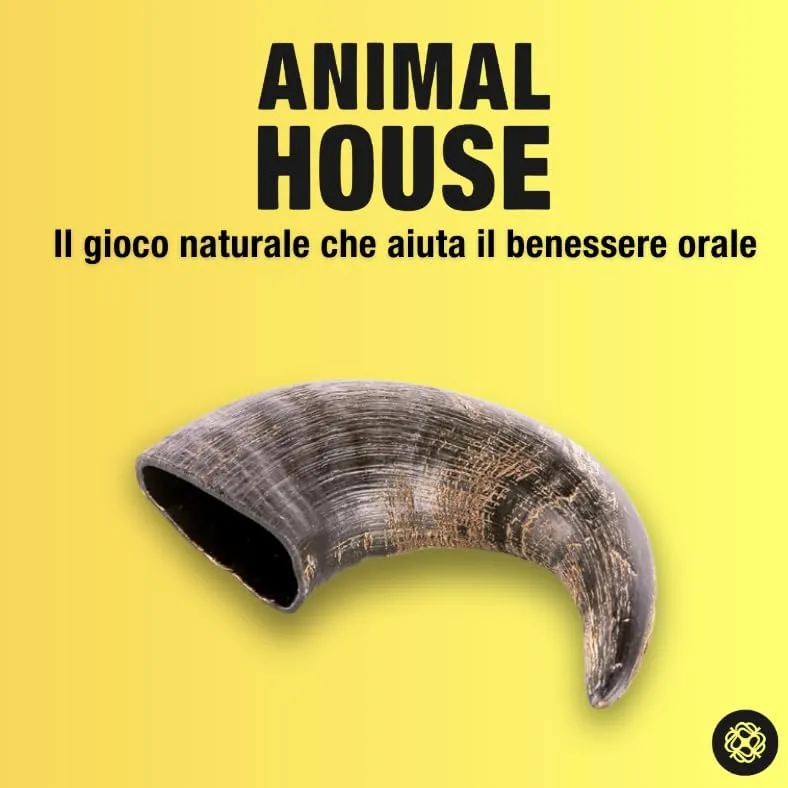 Animal House Corna di Bufalo per Cani, Taglia S - immagine 7