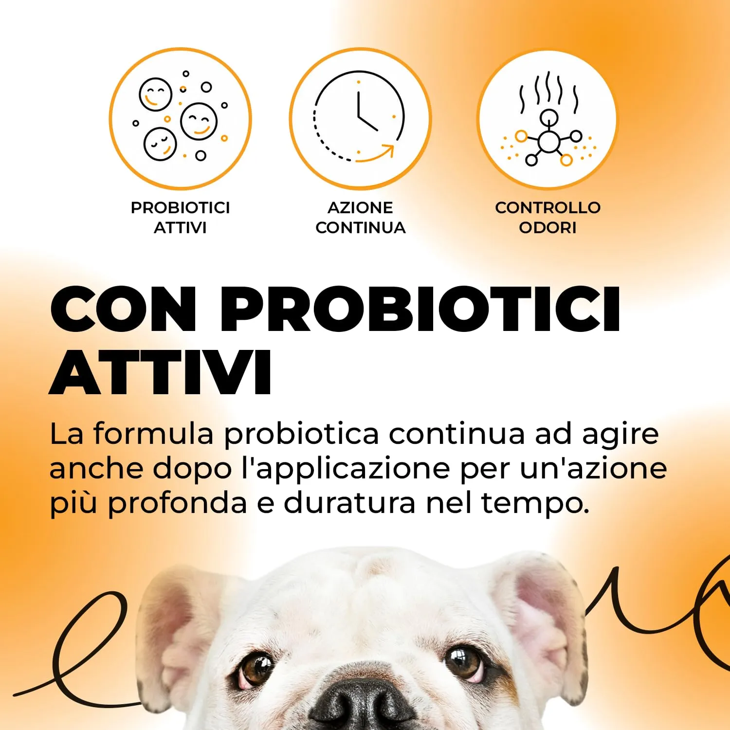 ERRECHOME NoPeey Detergente Urina Cane e Gatto per Tessuti e Superfici, 1 L - immagine 4