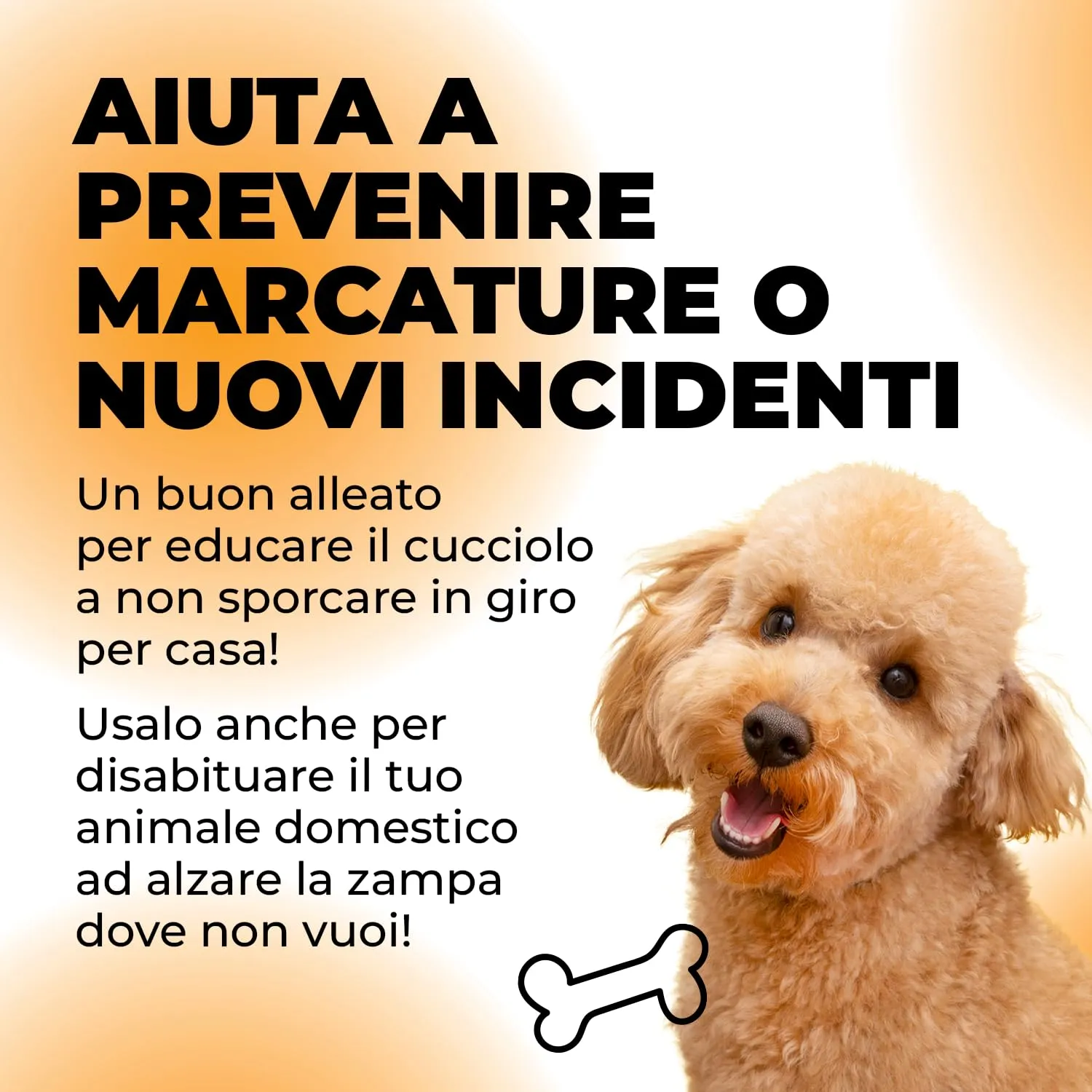 ERRECHOME NoPeey Detergente Urina Cane e Gatto per Tessuti e Superfici, 1 L - immagine 5