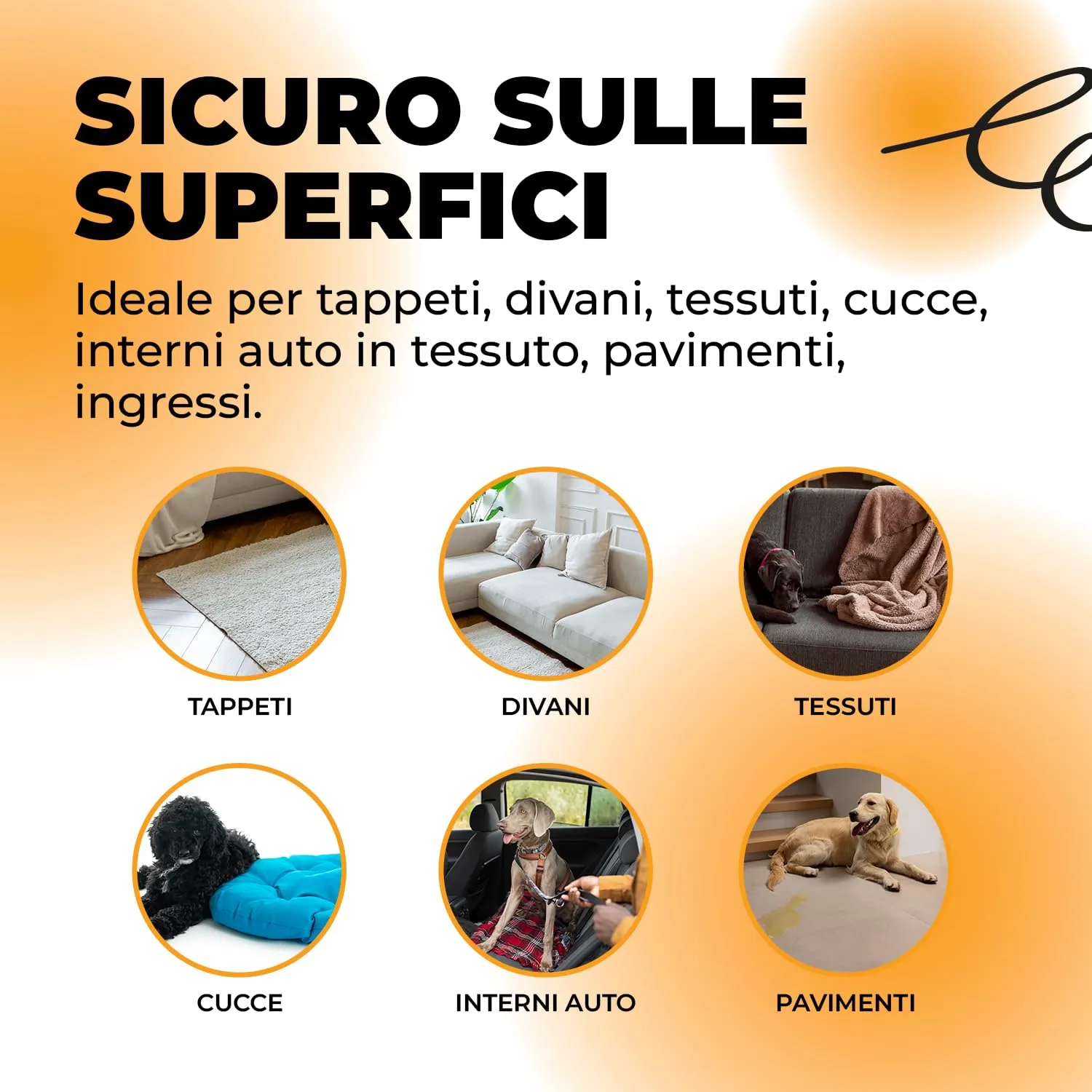 ERRECHOME NoPeey Detergente Urina Cane e Gatto per Tessuti e Superfici, 1 L - immagine 6