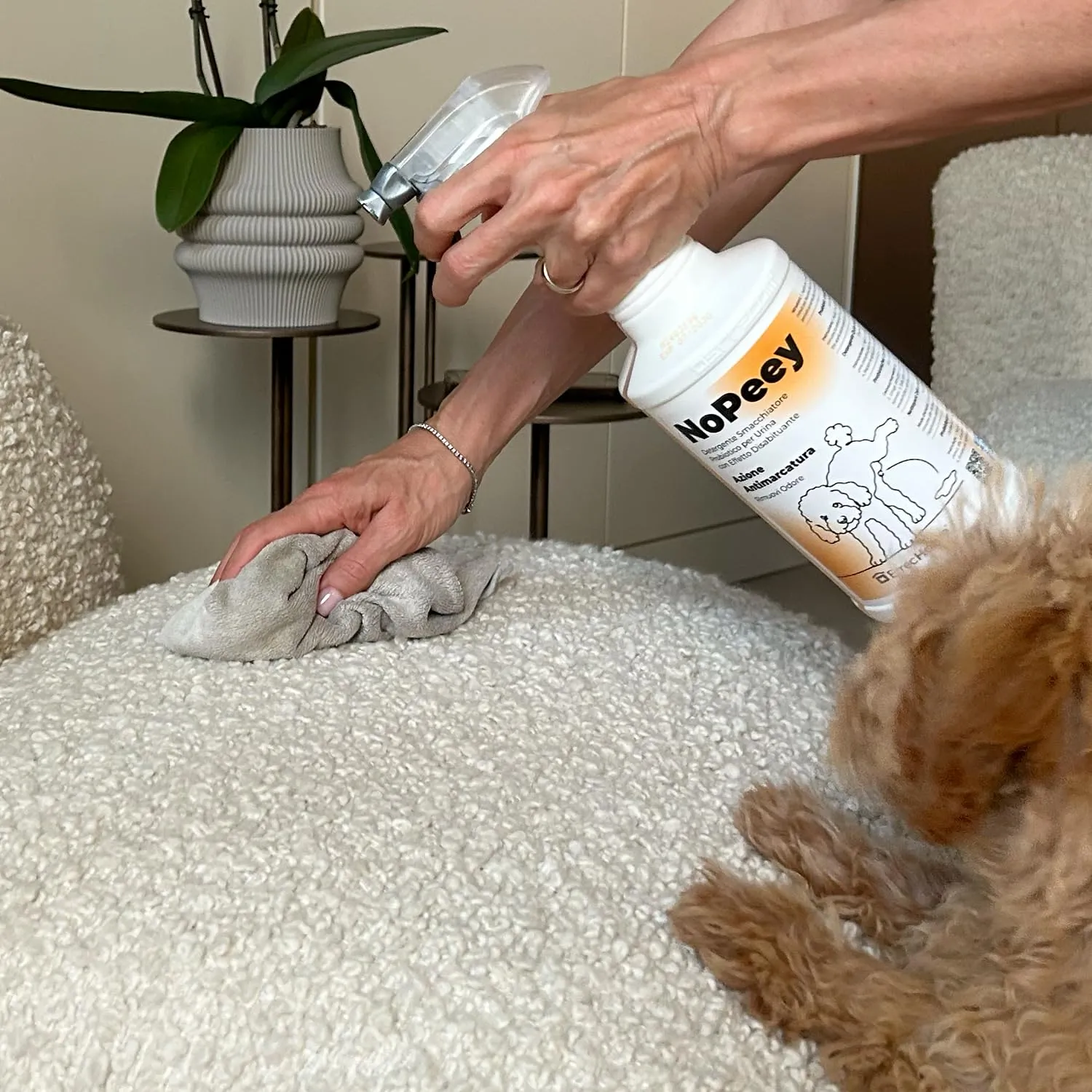 ERRECHOME NoPeey Detergente Urina Cane e Gatto per Tessuti e Superfici, 1 L - immagine 10