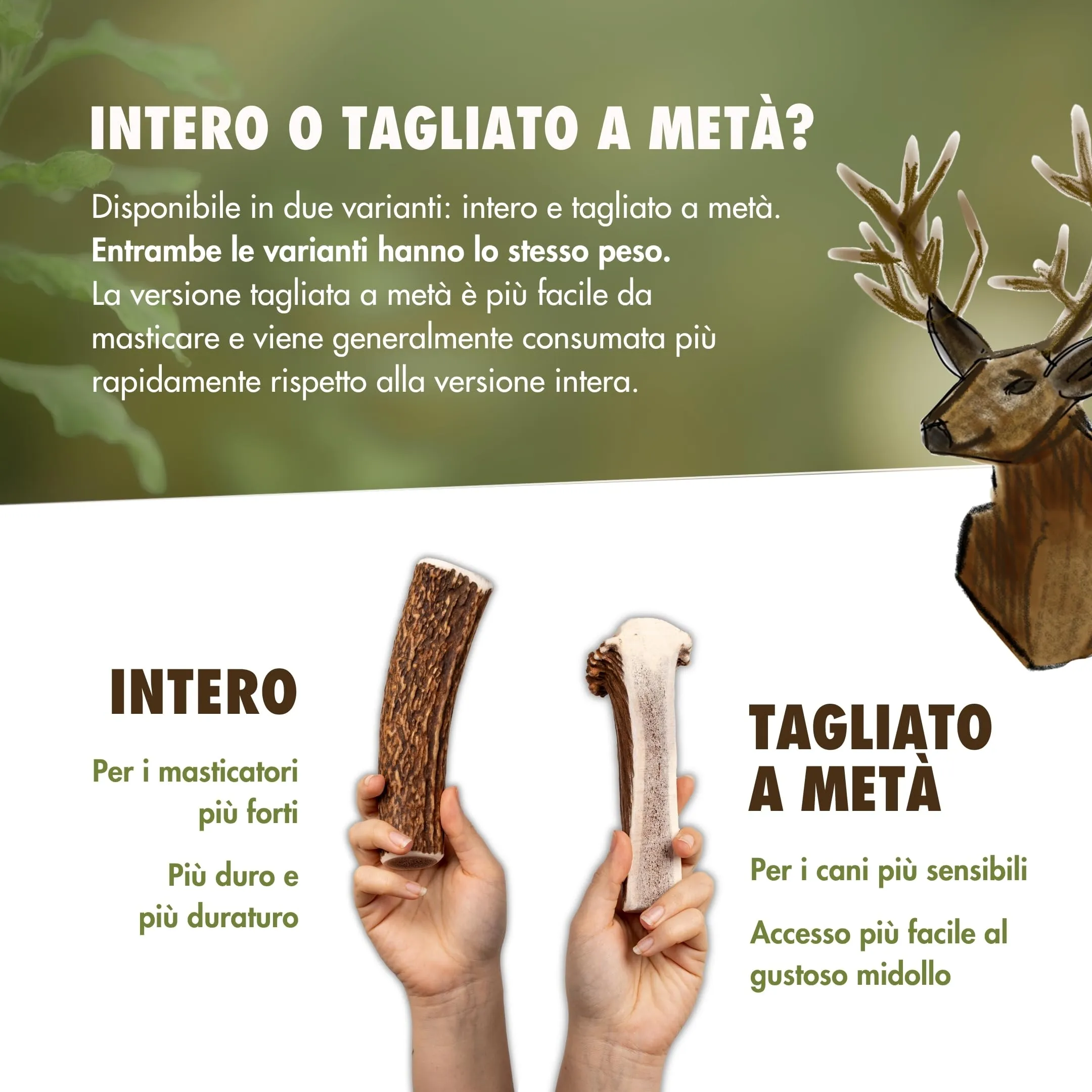 FOURLEGS Snack per Cani 100% Corno di Cervo, Taglia L Intero, 5 Pezzi - immagine 6