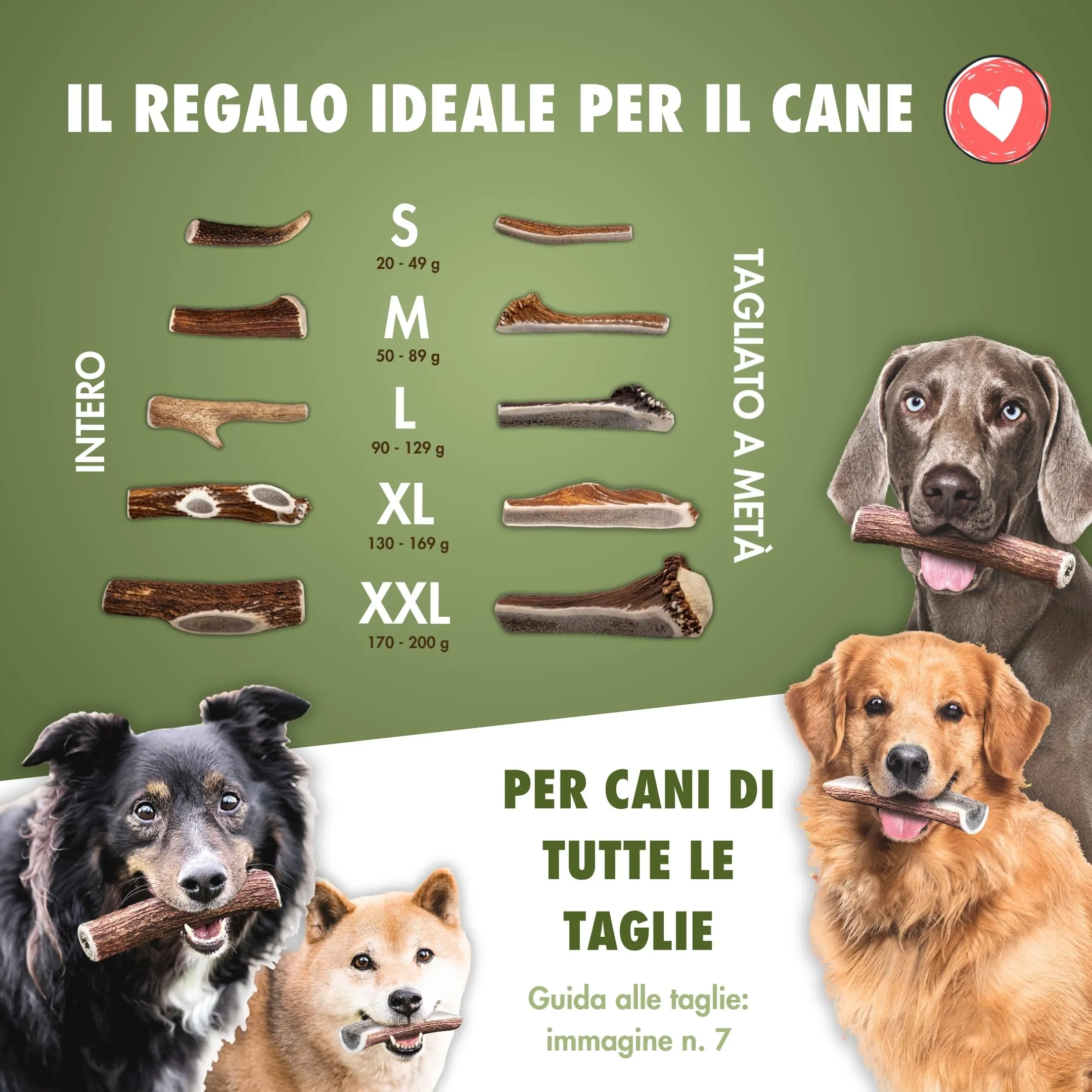 FOURLEGS Snack per Cani 100% Corno di Cervo, Taglia XL Intero - immagine 2