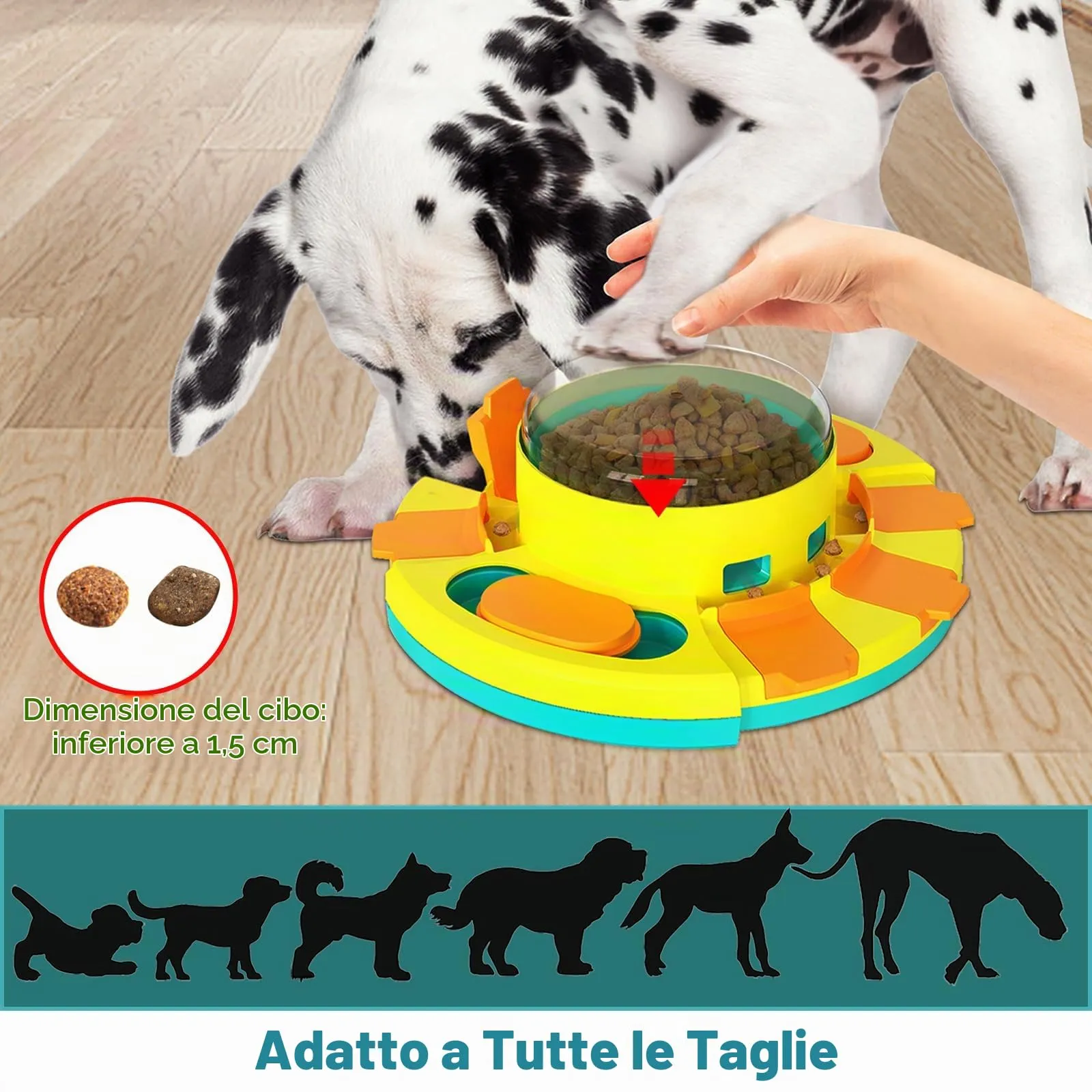 Dufuso Giocattolo di Intelligenza Interattivo per Cani, Training Comportamentale Livello 2 (Intermedio) - immagine 3