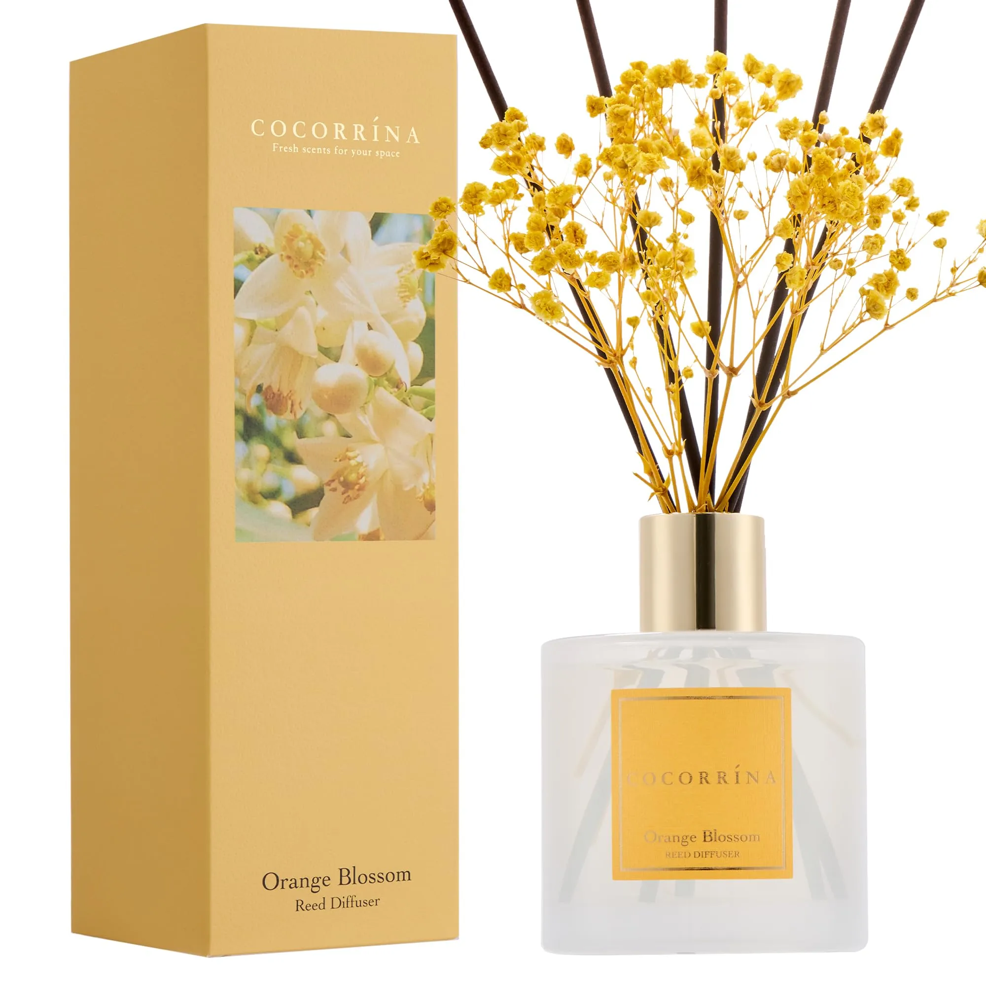 COCORRÍNA Diffusore di Profumo per Ambiente Orange Blossom, 200ml con 8 Bastoncini in Rattan - immagine 2