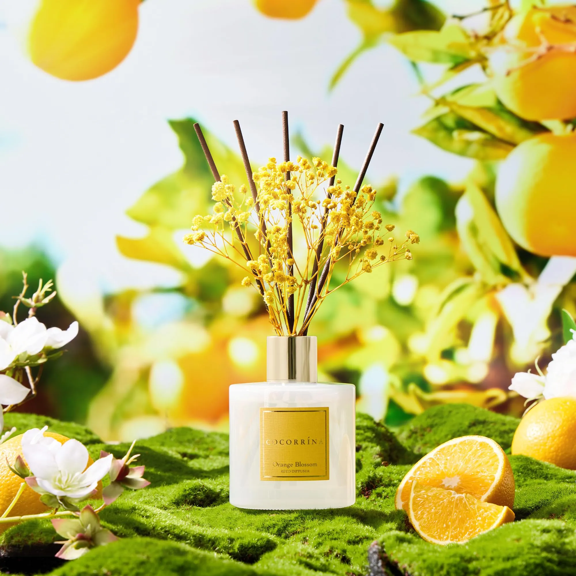 COCORRÍNA Diffusore di Profumo per Ambiente Orange Blossom, 200ml con 8 Bastoncini in Rattan - immagine 6