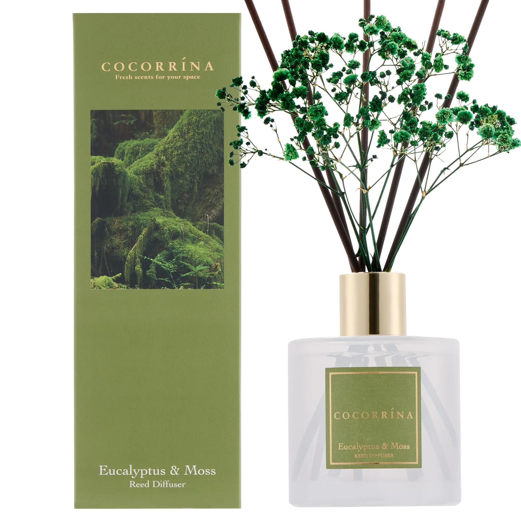 COCORRÍNA Diffusore Profumo Ambiente Eucalyptus & Moss, 200ml con 8 Bastoncini - immagine 1