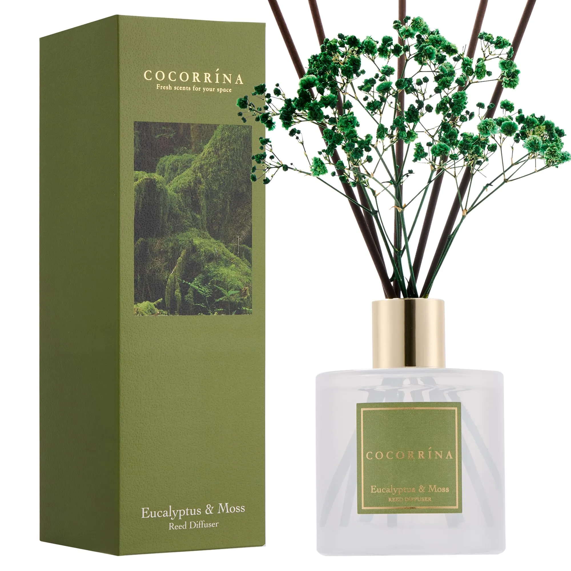 COCORRÍNA Diffusore Profumo Ambiente Eucalyptus & Moss, 200ml con 8 Bastoncini - immagine 2